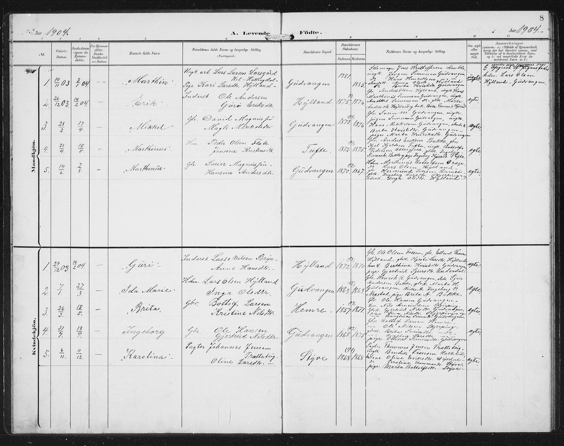 Aurland sokneprestembete, SAB/A-99937/H/Hb/Hbc/L0003: Parish register (copy) no. C 3, 1901-1933, p. 8