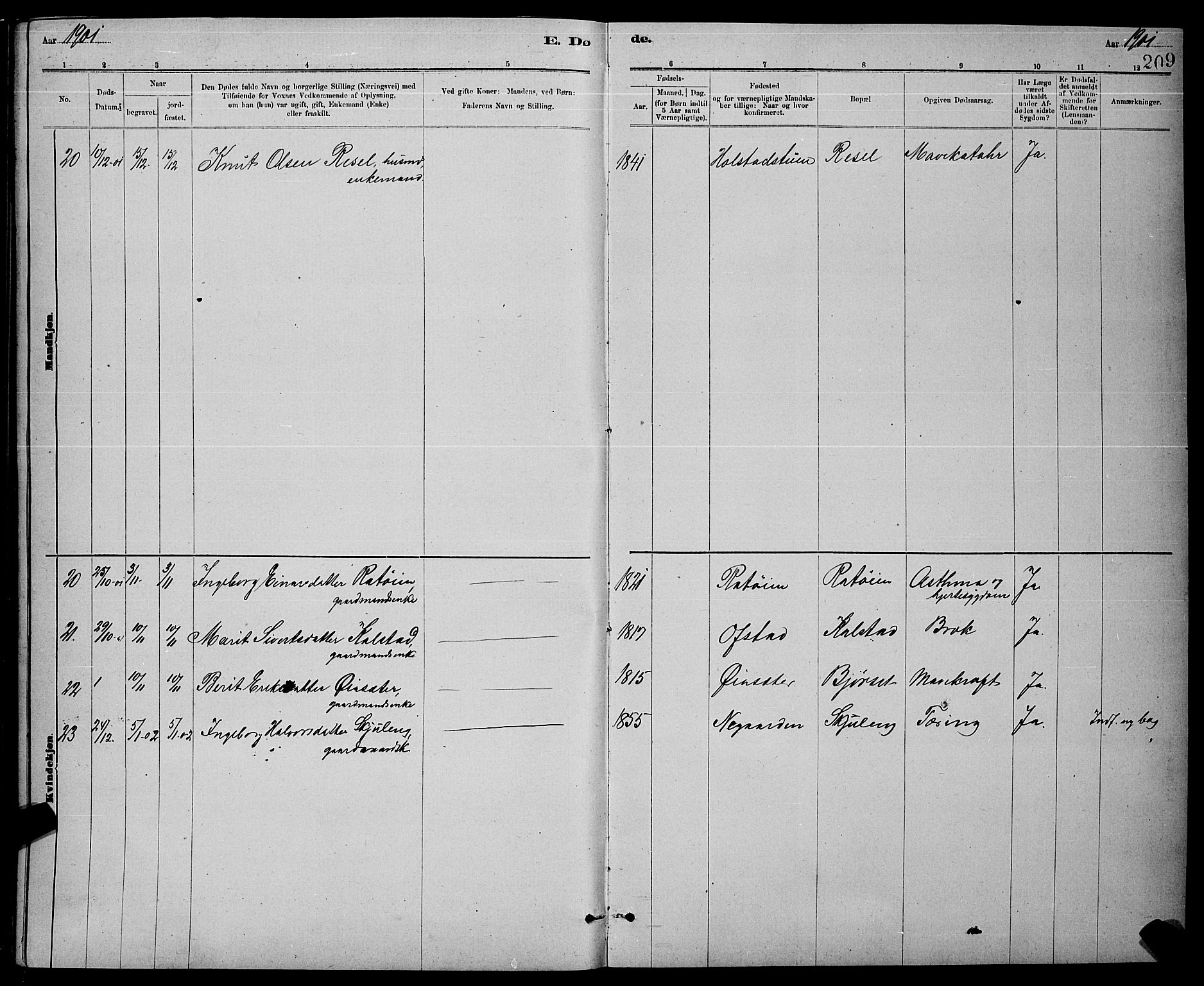 Ministerialprotokoller, klokkerbøker og fødselsregistre - Sør-Trøndelag, AV/SAT-A-1456/672/L0863: Parish register (copy) no. 672C02, 1888-1901, p. 209