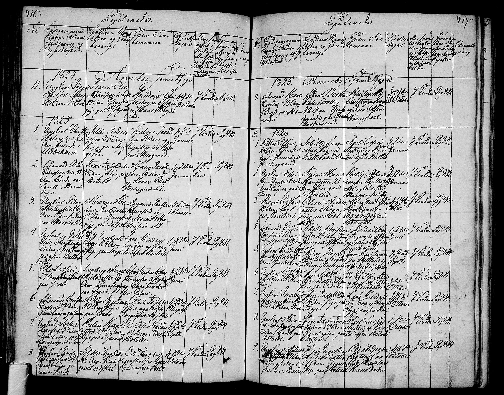 Andebu kirkebøker, AV/SAKO-A-336/F/Fa/L0003: Parish register (official) no. 3 /1, 1803-1828, p. 416-417