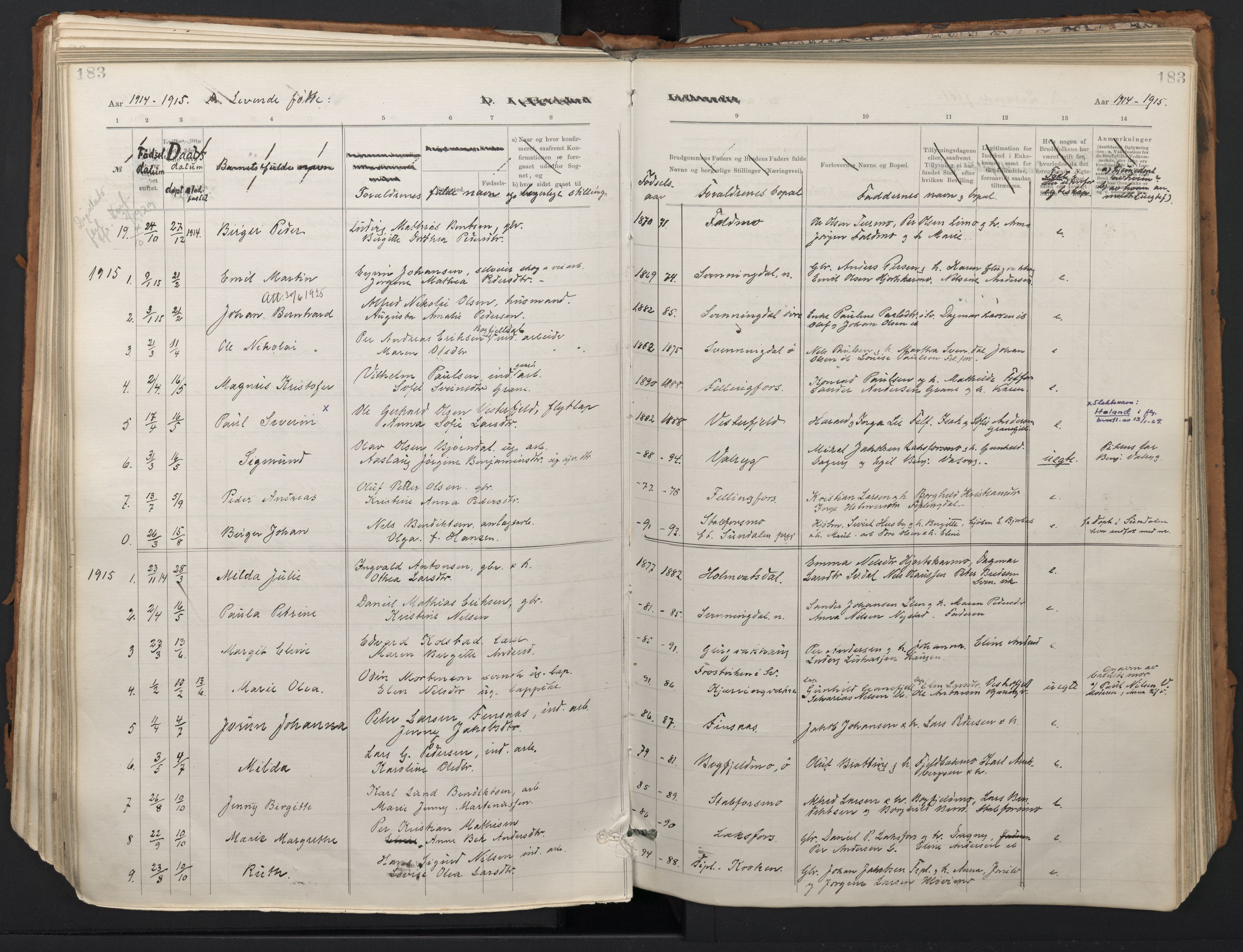 Ministerialprotokoller, klokkerbøker og fødselsregistre - Nordland, SAT/A-1459/824/L0338: Parish register (official) no. 824A01, 1880-1915, p. 183