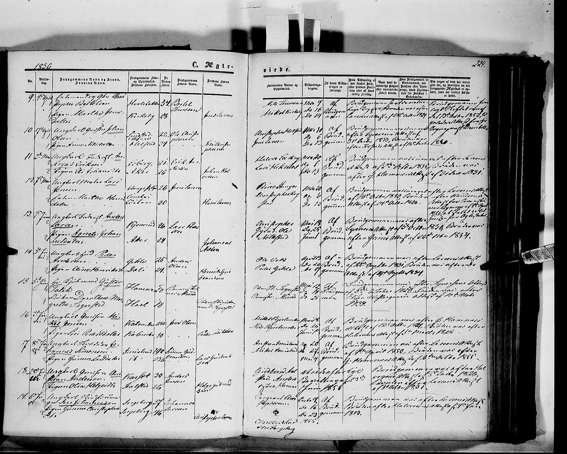 Vang prestekontor, Hedmark, SAH/PREST-008/H/Ha/Haa/L0012: Parish register (official) no. 12, 1855-1870, p. 224