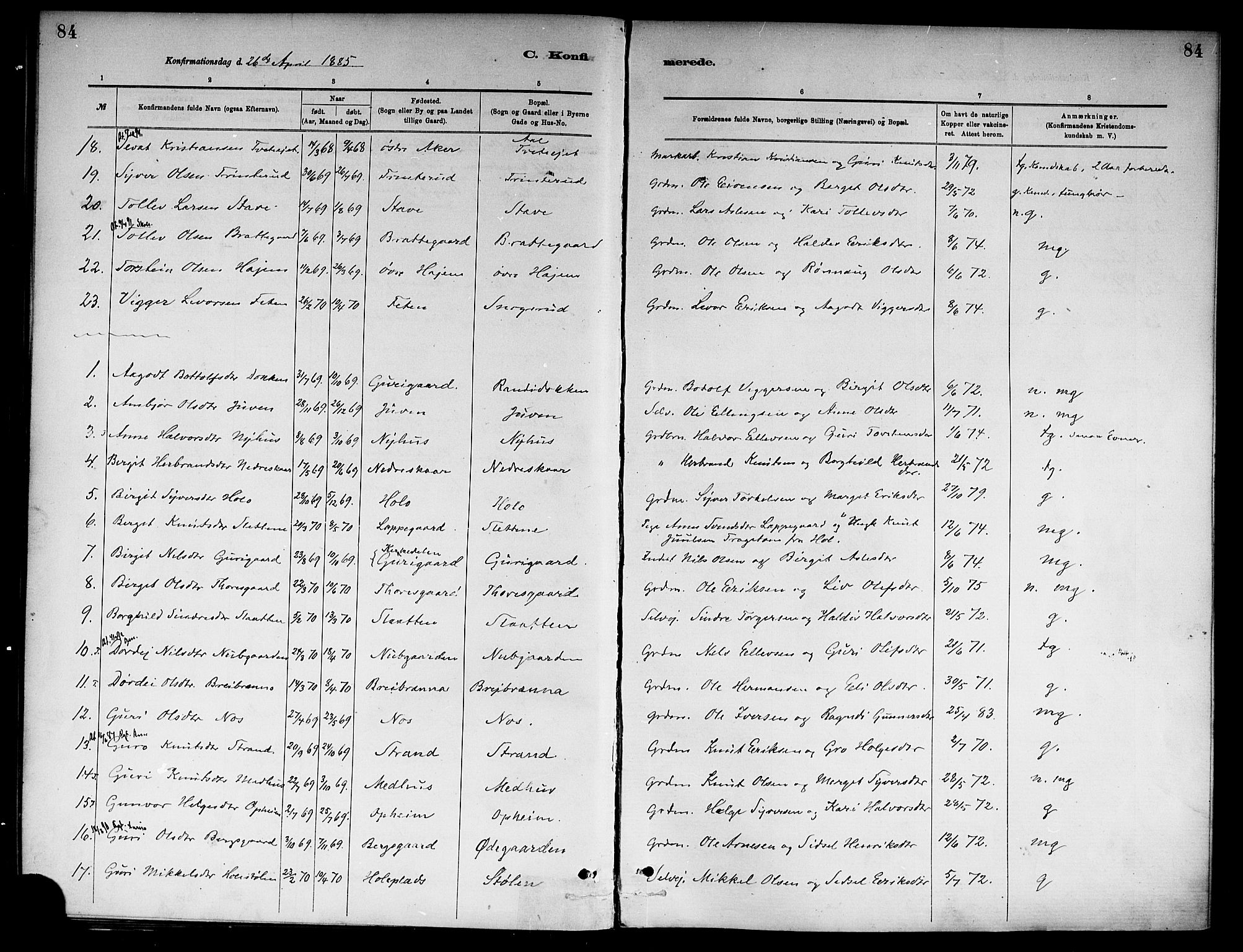 Ål kirkebøker, SAKO/A-249/F/Fa/L0008: Parish register (official) no. I 8, 1882-1896, p. 84