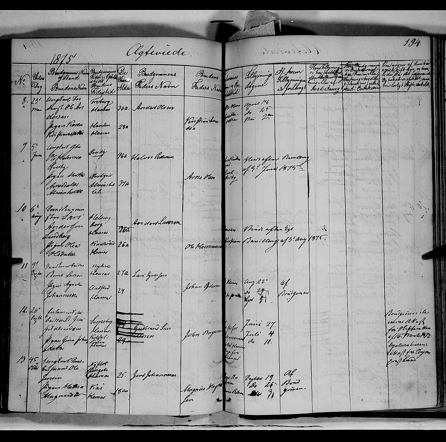 Vang prestekontor, Hedmark, AV/SAH-PREST-008/H/Ha/Haa/L0011: Parish register (official) no. 11, 1852-1877, p. 194