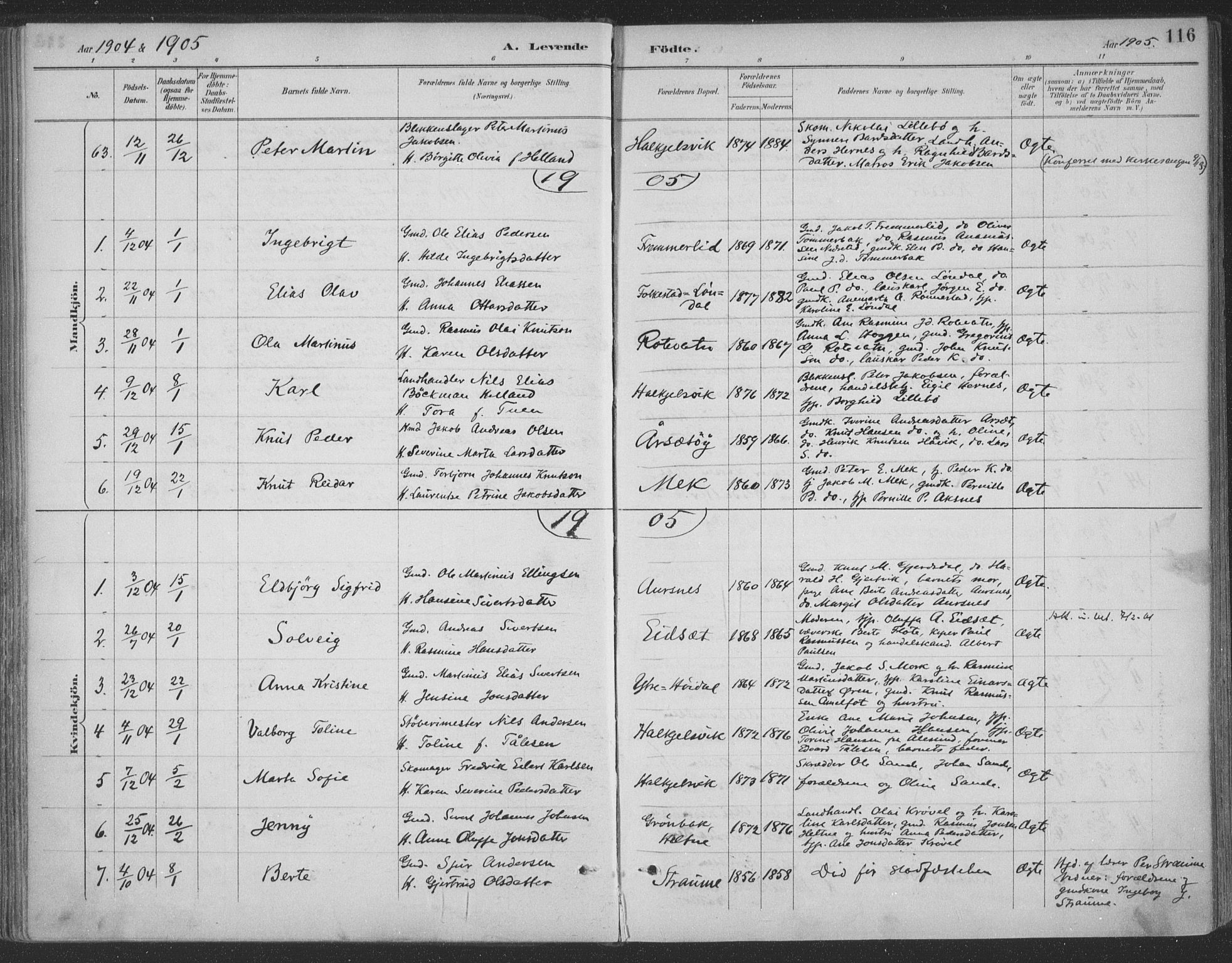 Ministerialprotokoller, klokkerbøker og fødselsregistre - Møre og Romsdal, AV/SAT-A-1454/511/L0142: Parish register (official) no. 511A09, 1891-1905, p. 116