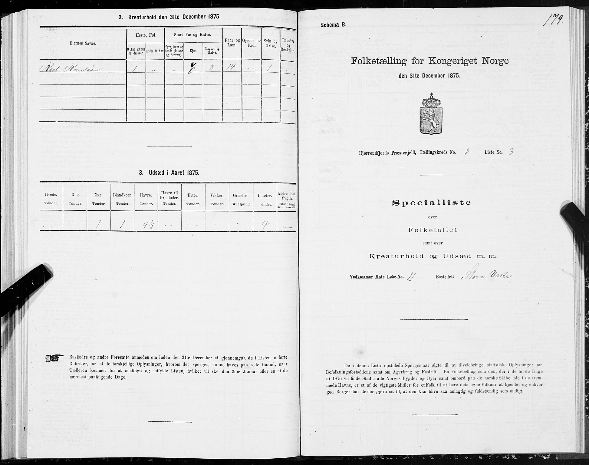 SAT, 1875 census for 1522P Hjørundfjord, 1875, p. 1179