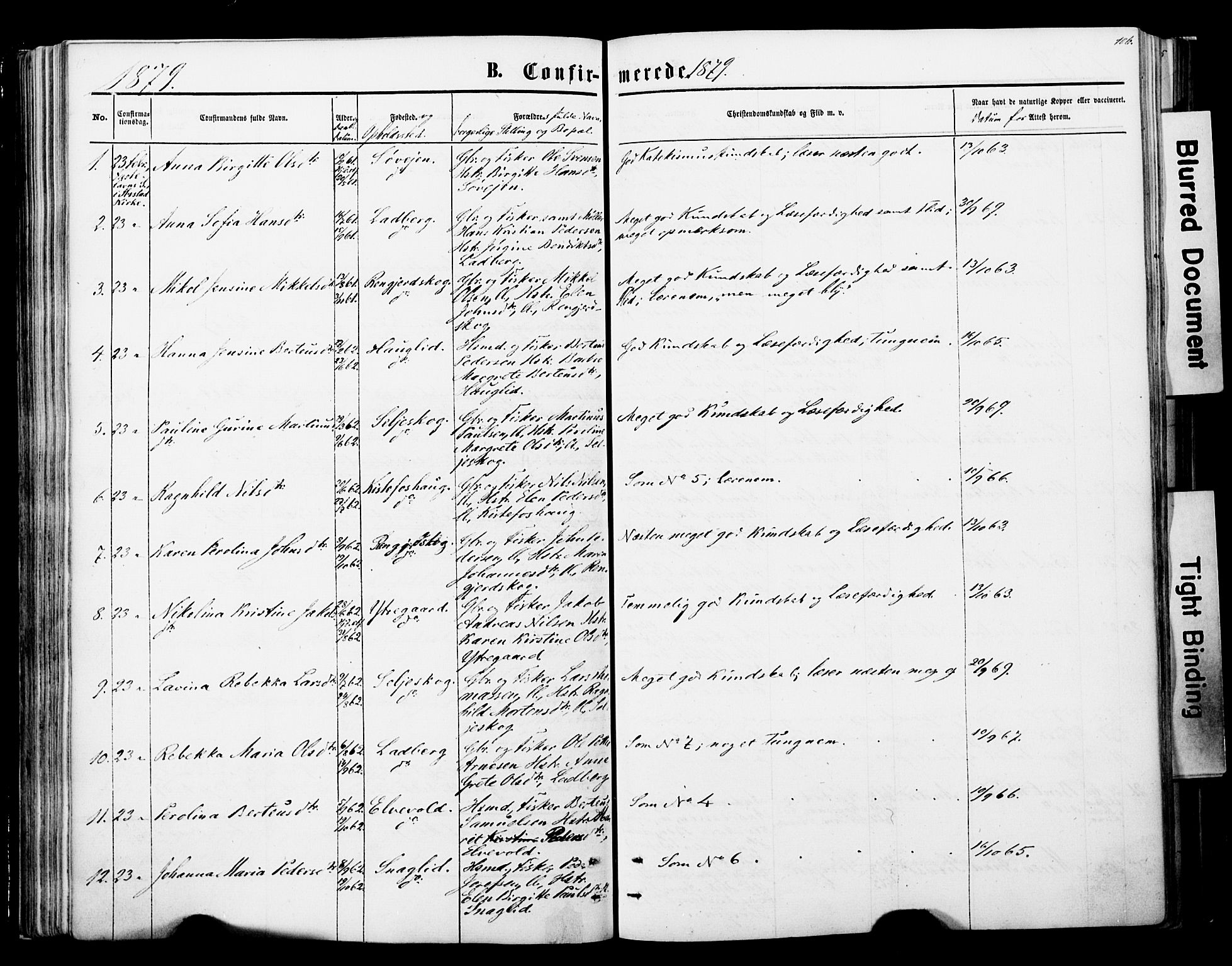 Ibestad sokneprestembete, SATØ/S-0077/H/Ha/Haa/L0013kirke: Parish register (official) no. 13, 1865-1879, p. 106