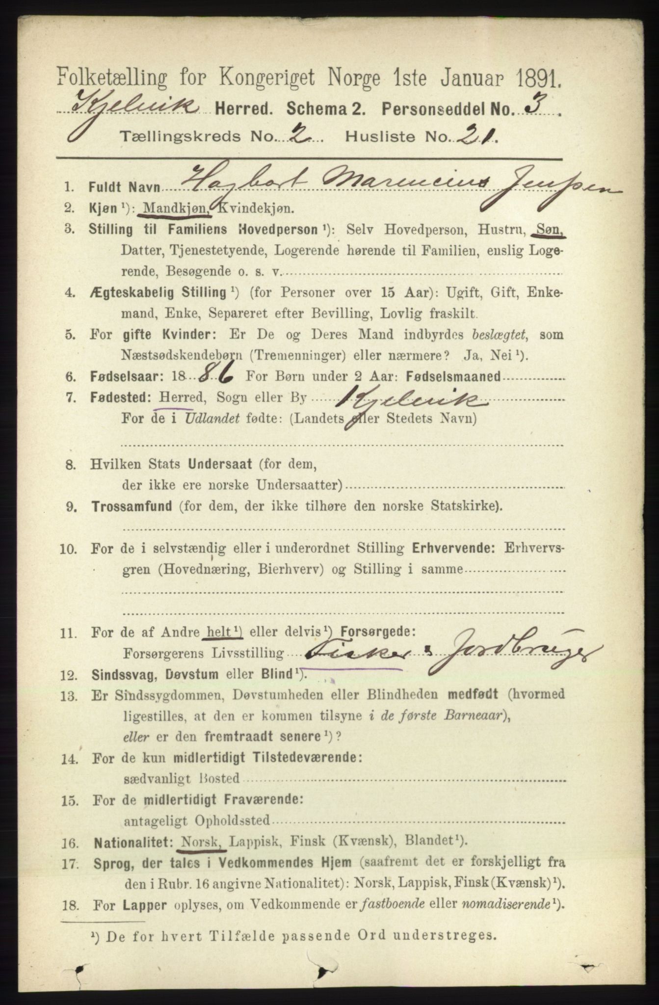 RA, 1891 census for 2019 Kjelvik, 1891, p. 210