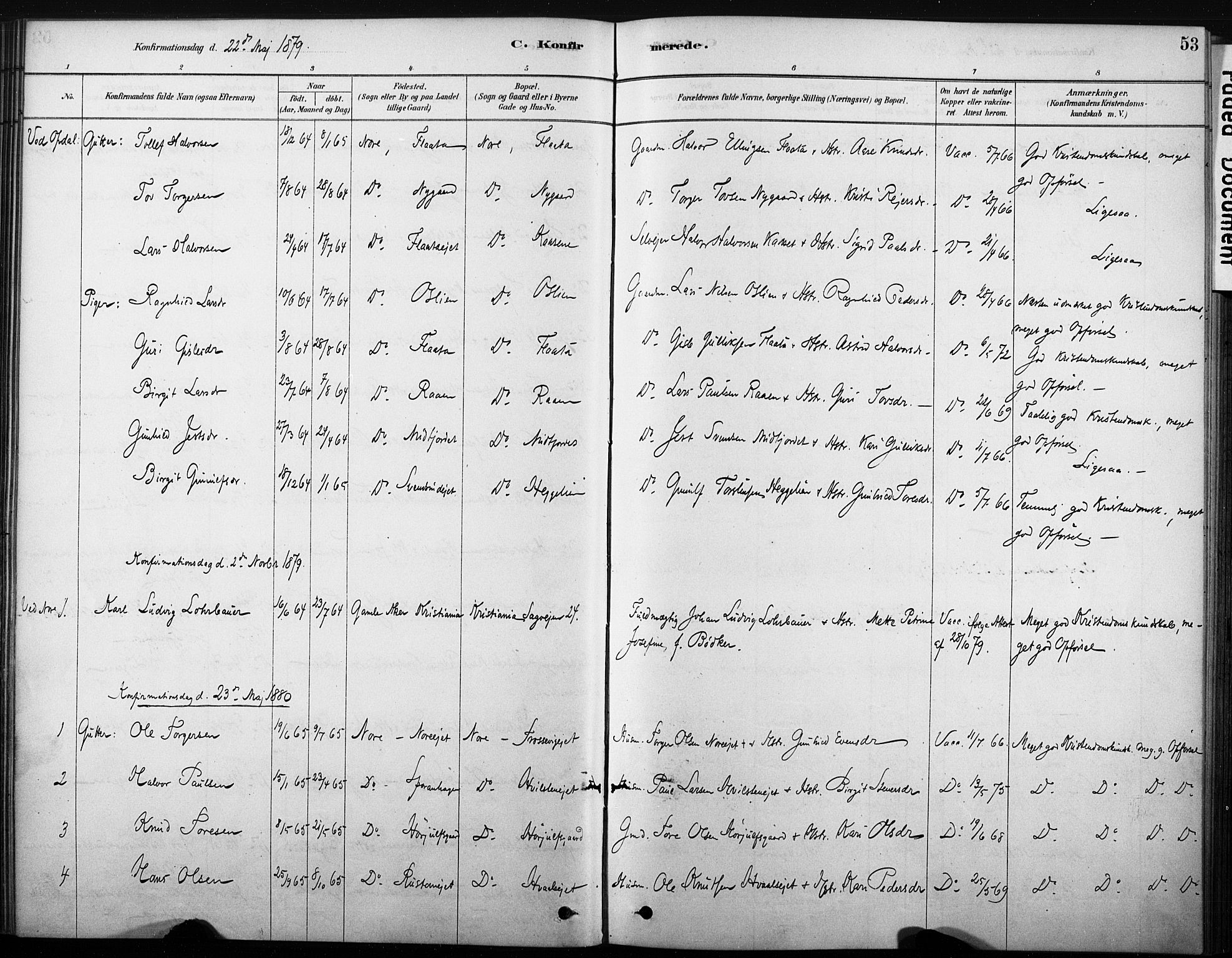 Nore kirkebøker, AV/SAKO-A-238/F/Fb/L0001: Parish register (official) no. II 1, 1878-1886, p. 53