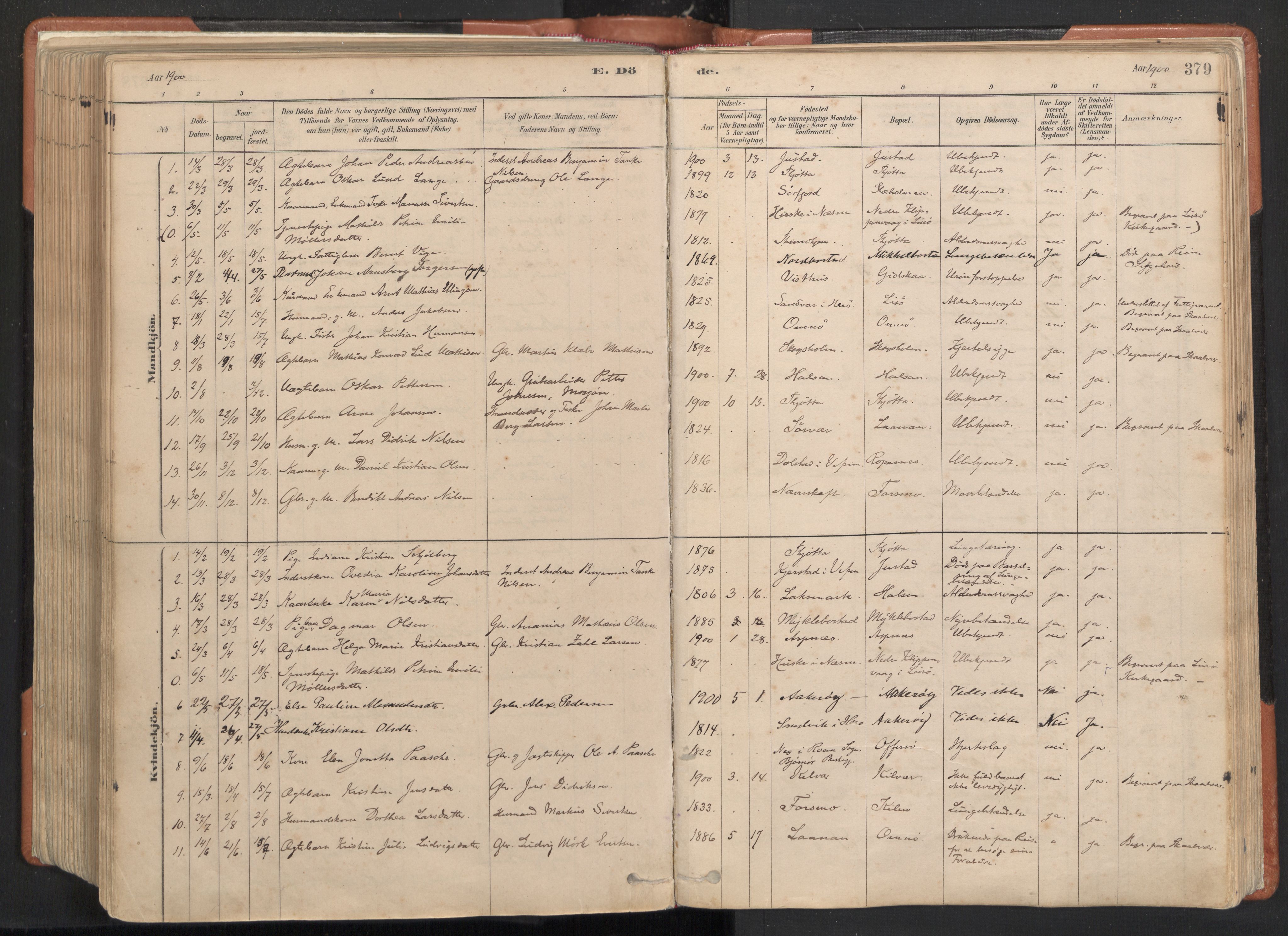 Ministerialprotokoller, klokkerbøker og fødselsregistre - Nordland, SAT/A-1459/817/L0264: Parish register (official) no. 817A04, 1878-1907, p. 379