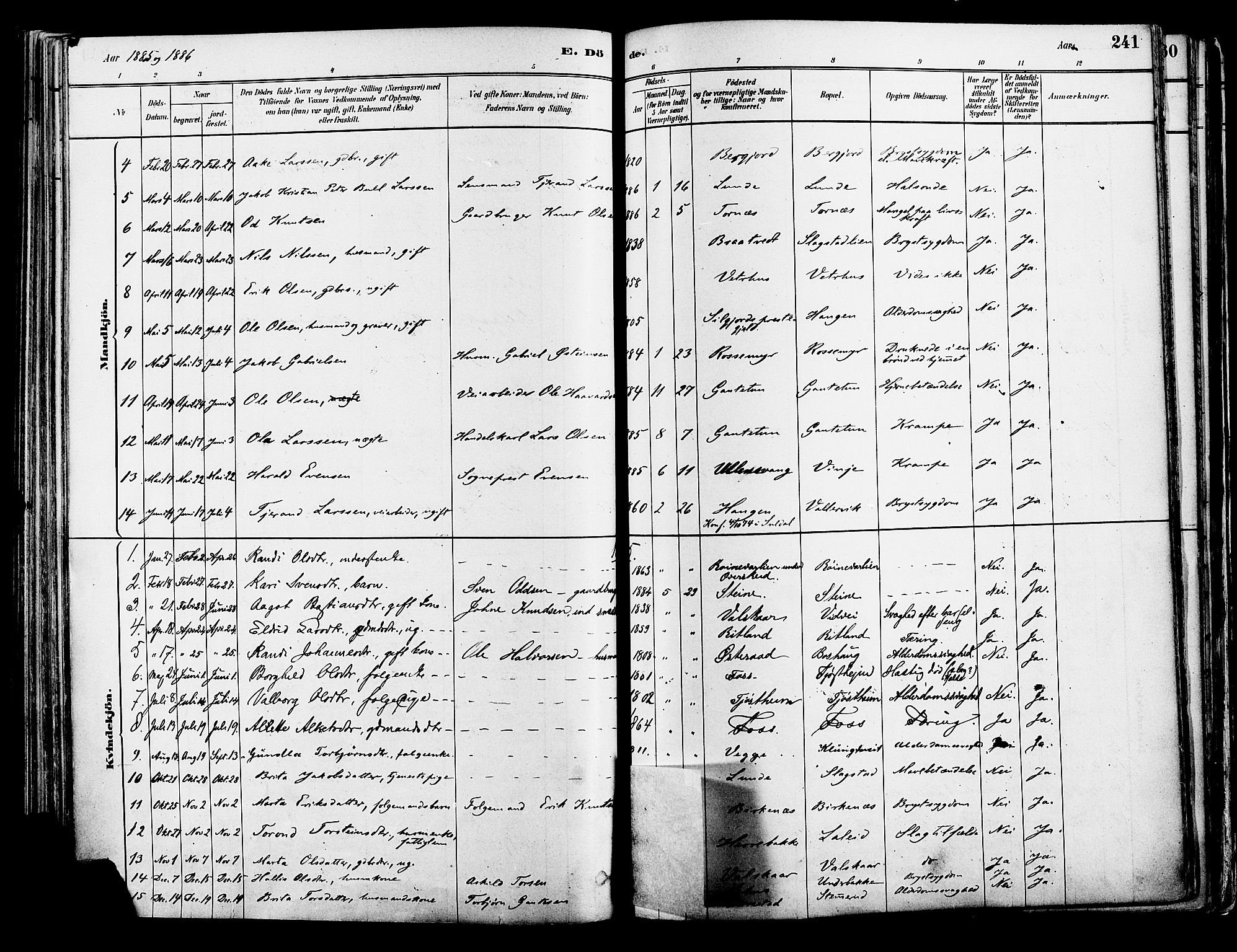 Suldal sokneprestkontor, AV/SAST-A-101845/01/IV/L0011: Parish register (official) no. A 11, 1878-1900, p. 241