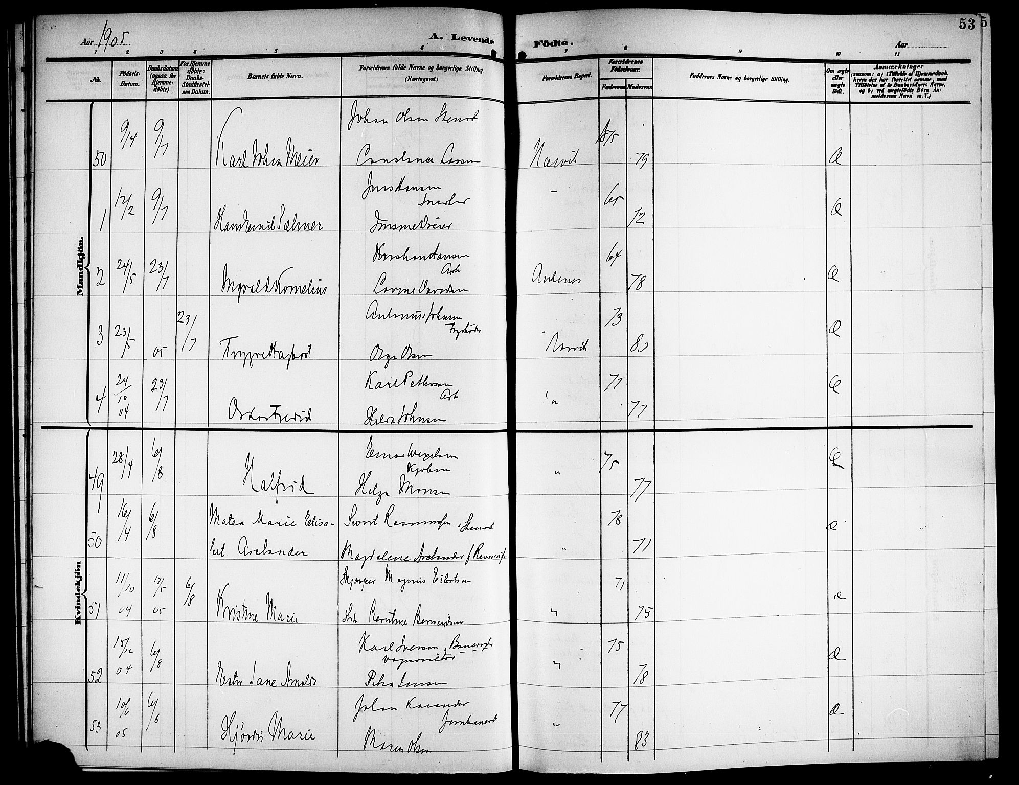 Ministerialprotokoller, klokkerbøker og fødselsregistre - Nordland, AV/SAT-A-1459/871/L1012: Parish register (copy) no. 871C01, 1902-1909, p. 53