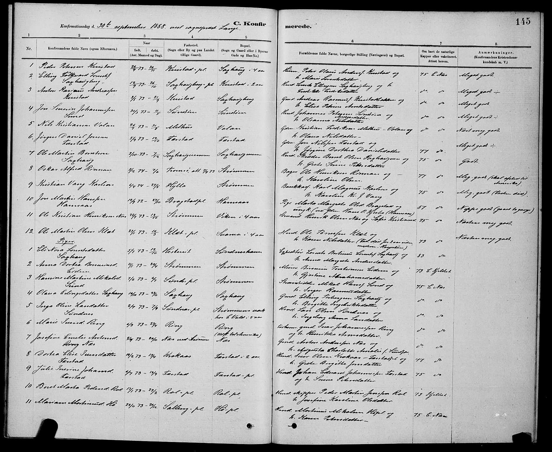 Ministerialprotokoller, klokkerbøker og fødselsregistre - Nord-Trøndelag, SAT/A-1458/730/L0301: Parish register (copy) no. 730C04, 1880-1897, p. 145