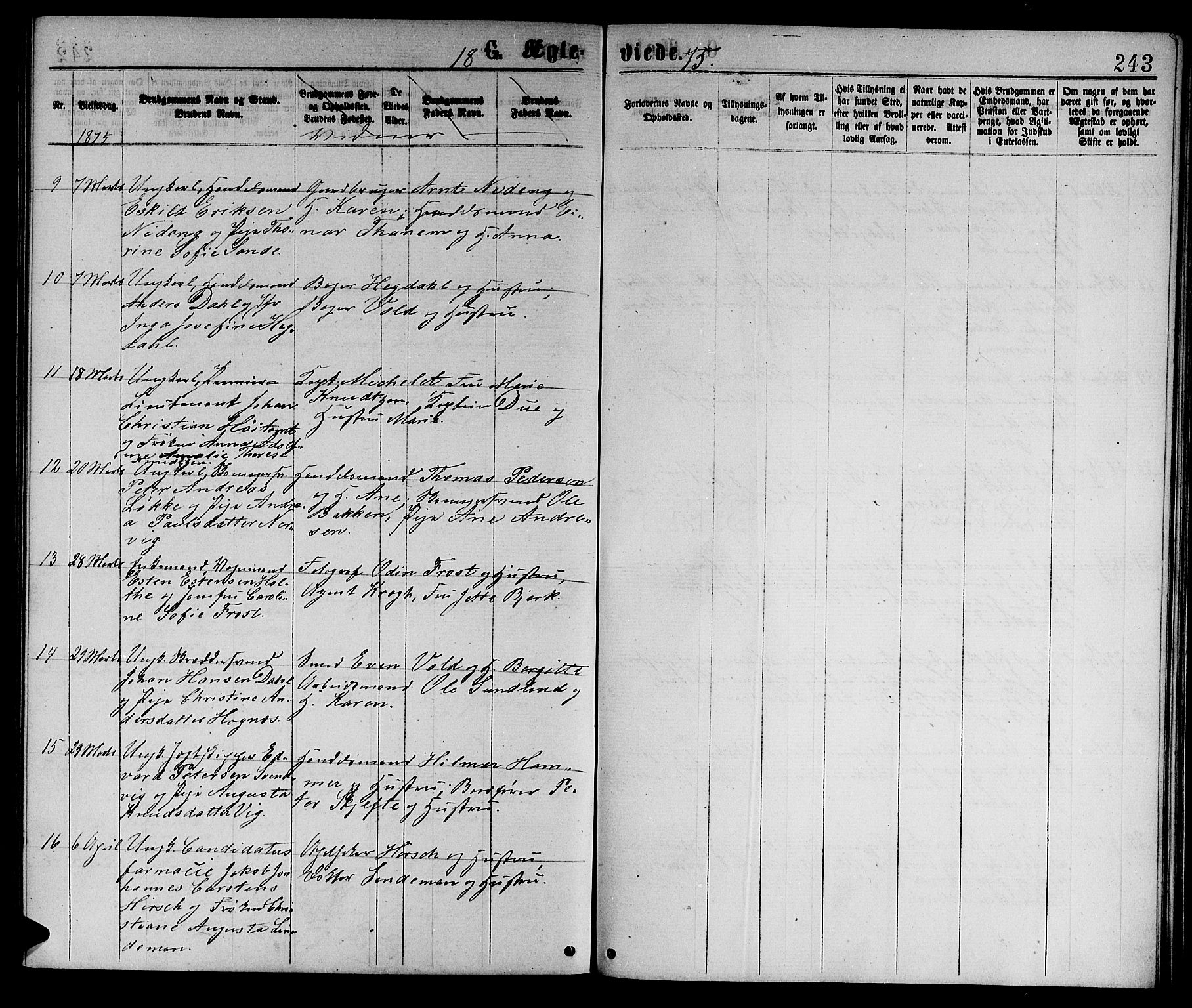 Ministerialprotokoller, klokkerbøker og fødselsregistre - Sør-Trøndelag, SAT/A-1456/601/L0088: Parish register (copy) no. 601C06, 1870-1878, p. 243