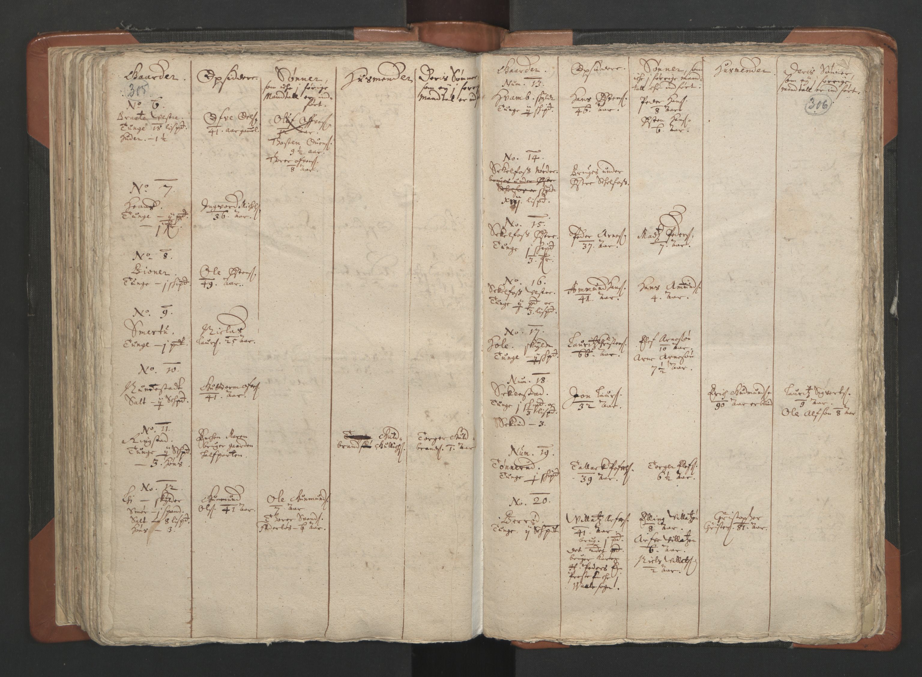 RA, Vicar's Census 1664-1666, no. 2: Øvre Borgesyssel deanery, 1664-1666, p. 305-306