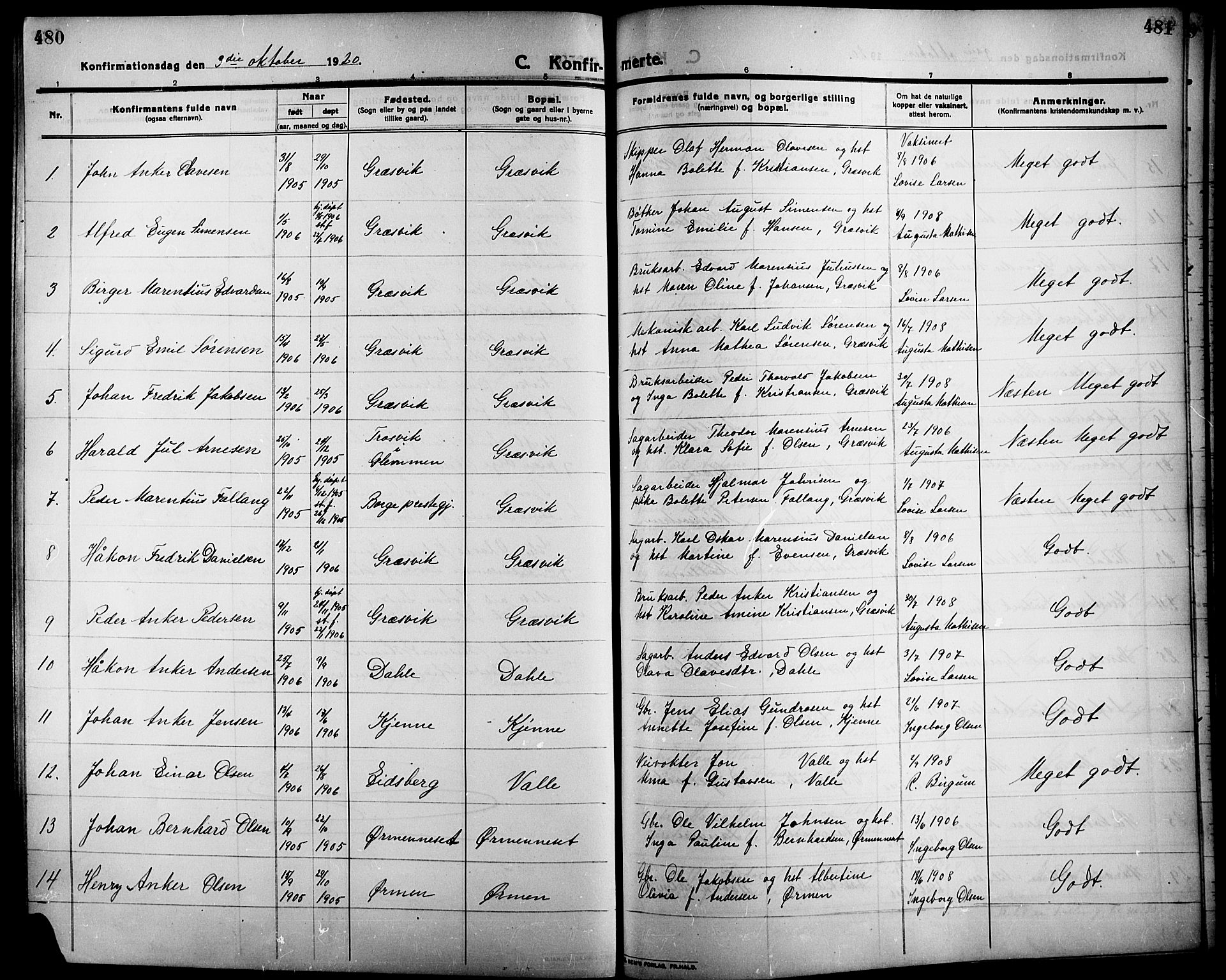Onsøy prestekontor Kirkebøker, SAO/A-10914/G/Ga/L0003: Parish register (copy) no. I 3, 1910-1926, p. 480-481