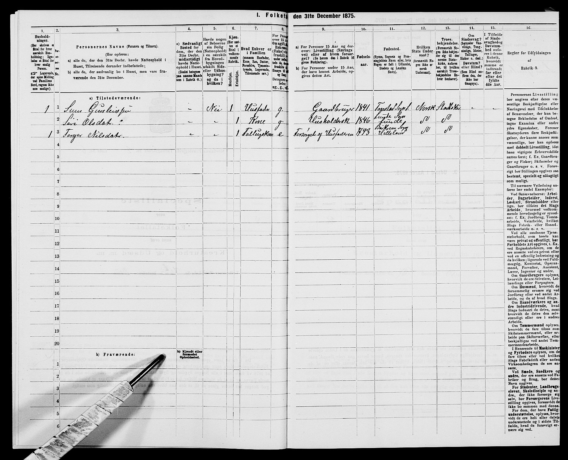 SAK, 1875 census for 1046P Sirdal, 1875, p. 149