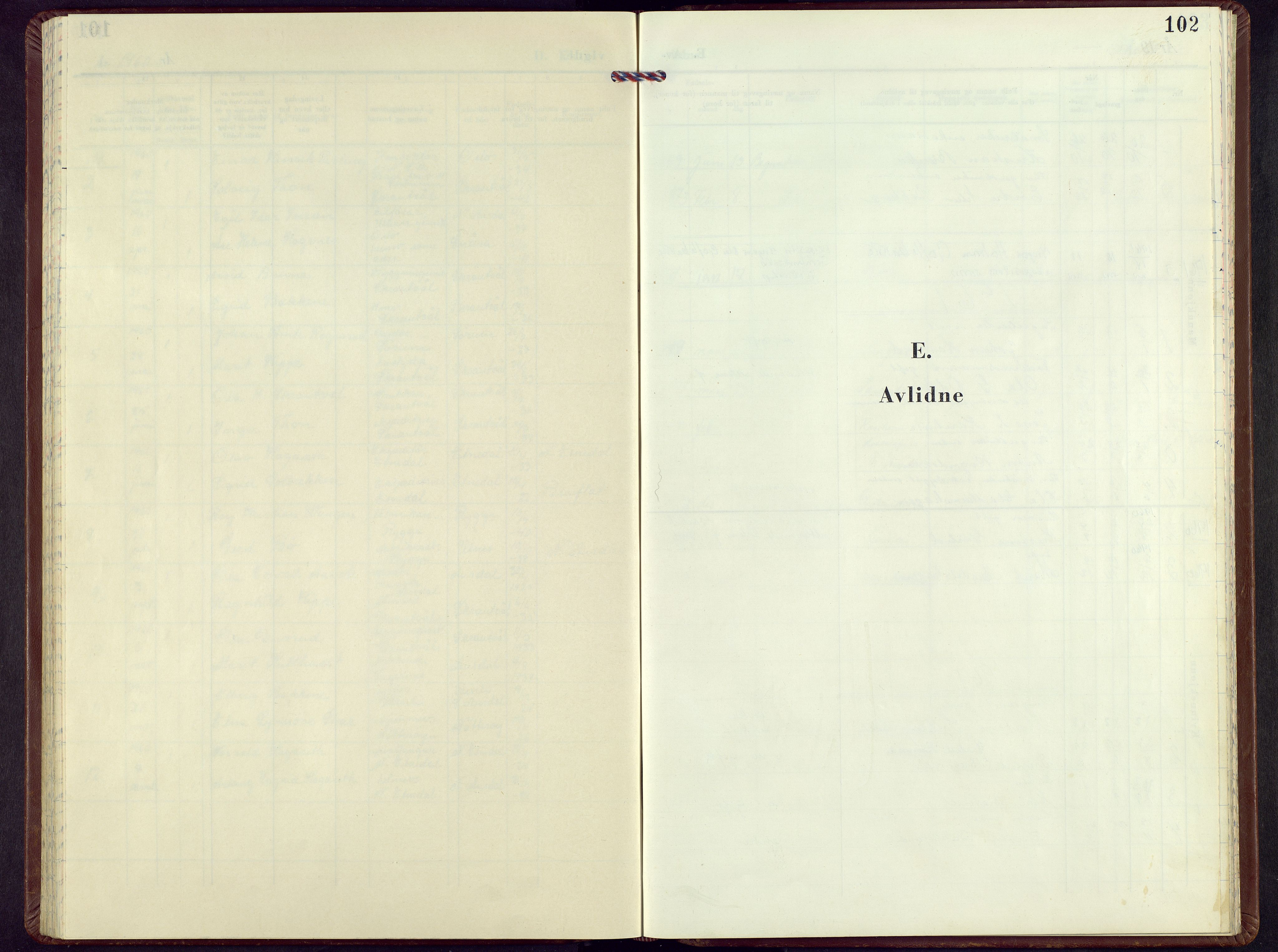 Nord-Aurdal prestekontor, SAH/PREST-132/H/Ha/Hab/L0021: Parish register (copy) no. 21, 1960-1979, p. 101b-102a