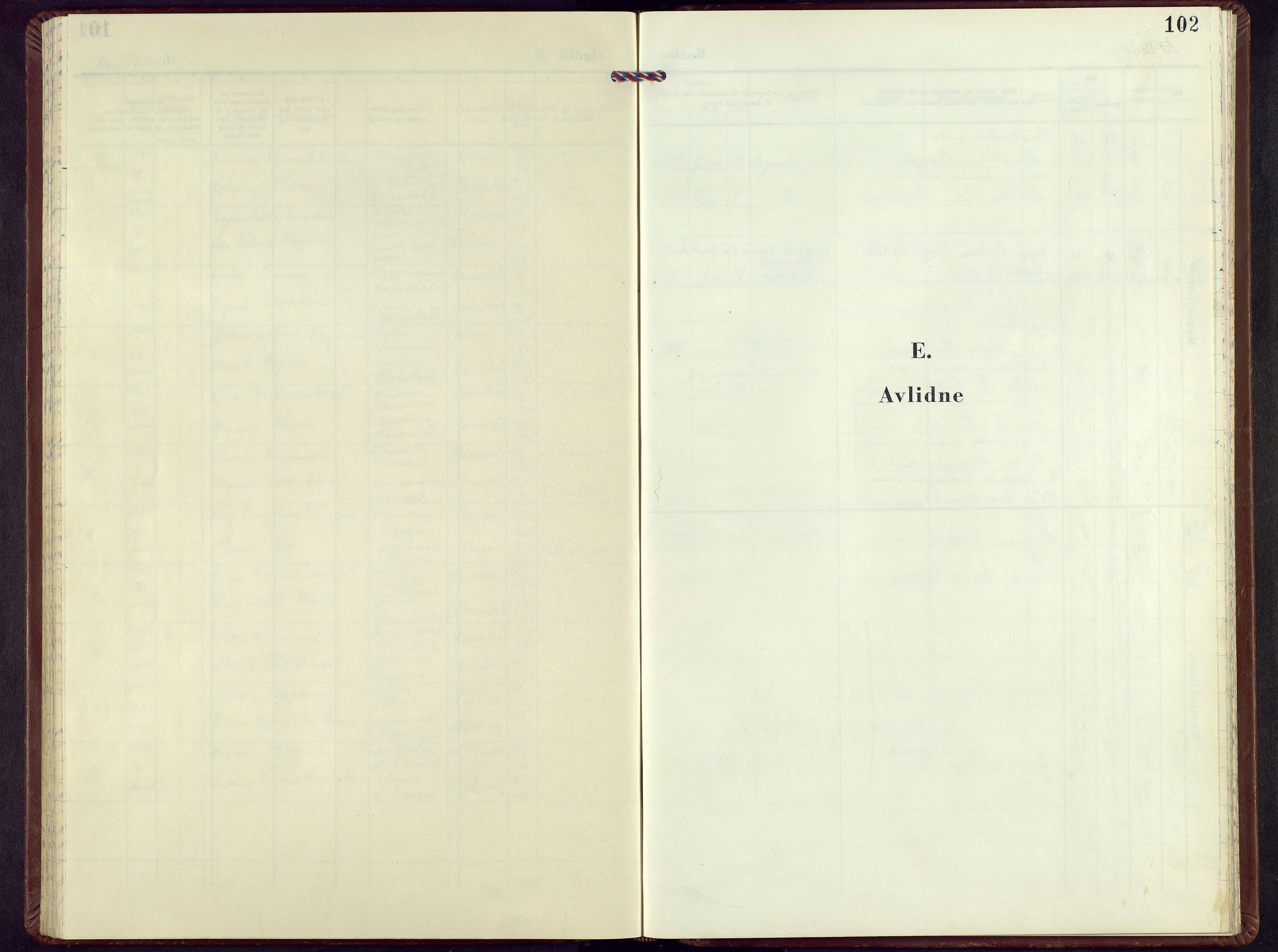 Nord-Aurdal prestekontor, AV/SAH-PREST-132/H/Ha/Hab/L0021: Parish register (copy) no. 21, 1960-1979, p. 101b-102a