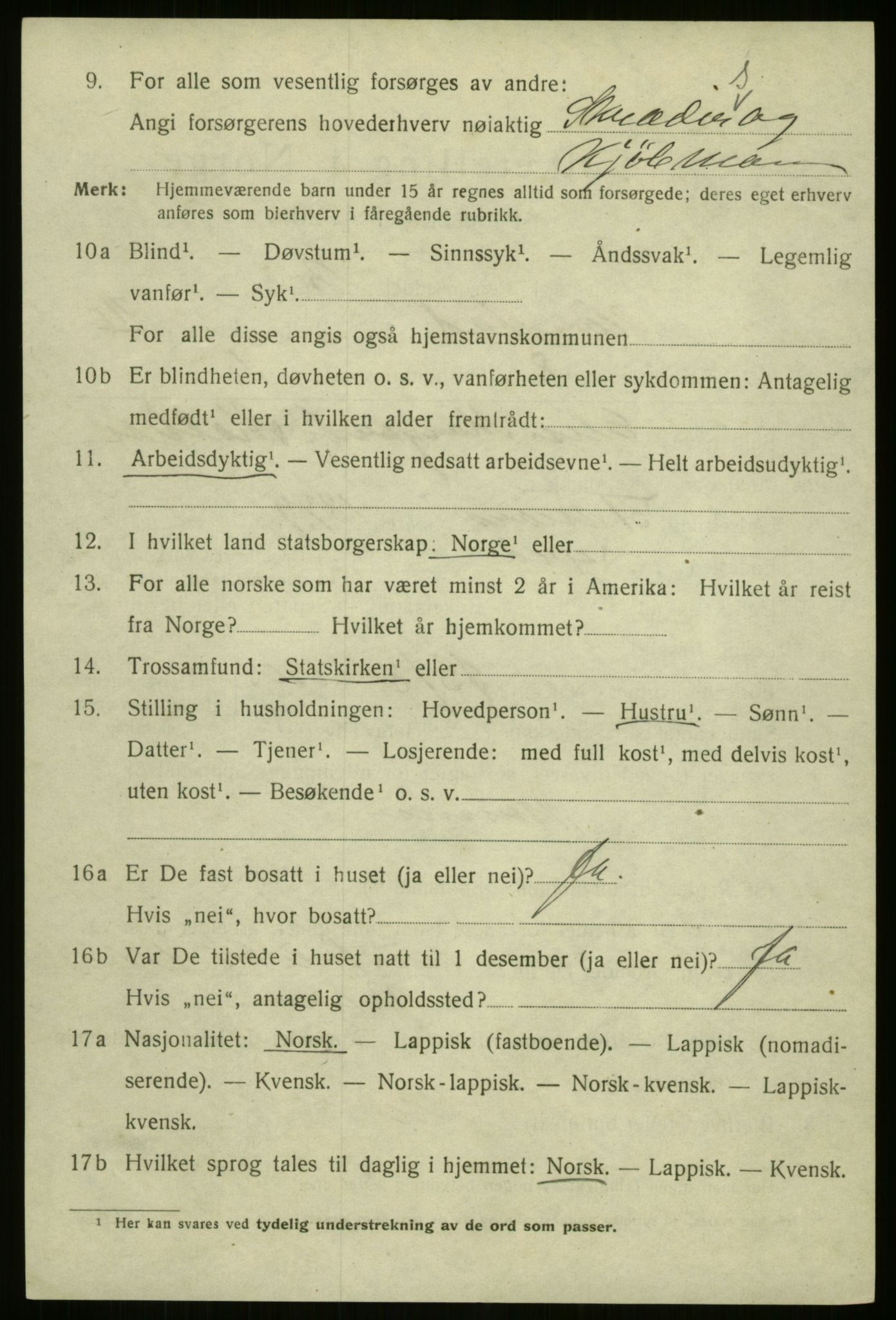 SATØ, 1920 census for Harstad, 1920, p. 4305