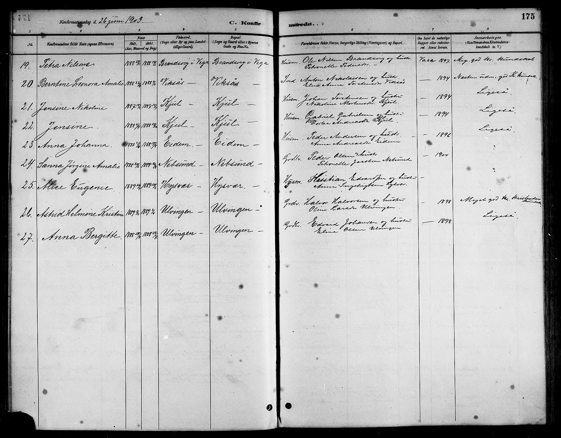 Ministerialprotokoller, klokkerbøker og fødselsregistre - Nordland, AV/SAT-A-1459/816/L0253: Parish register (copy) no. 816C03, 1886-1905, p. 175