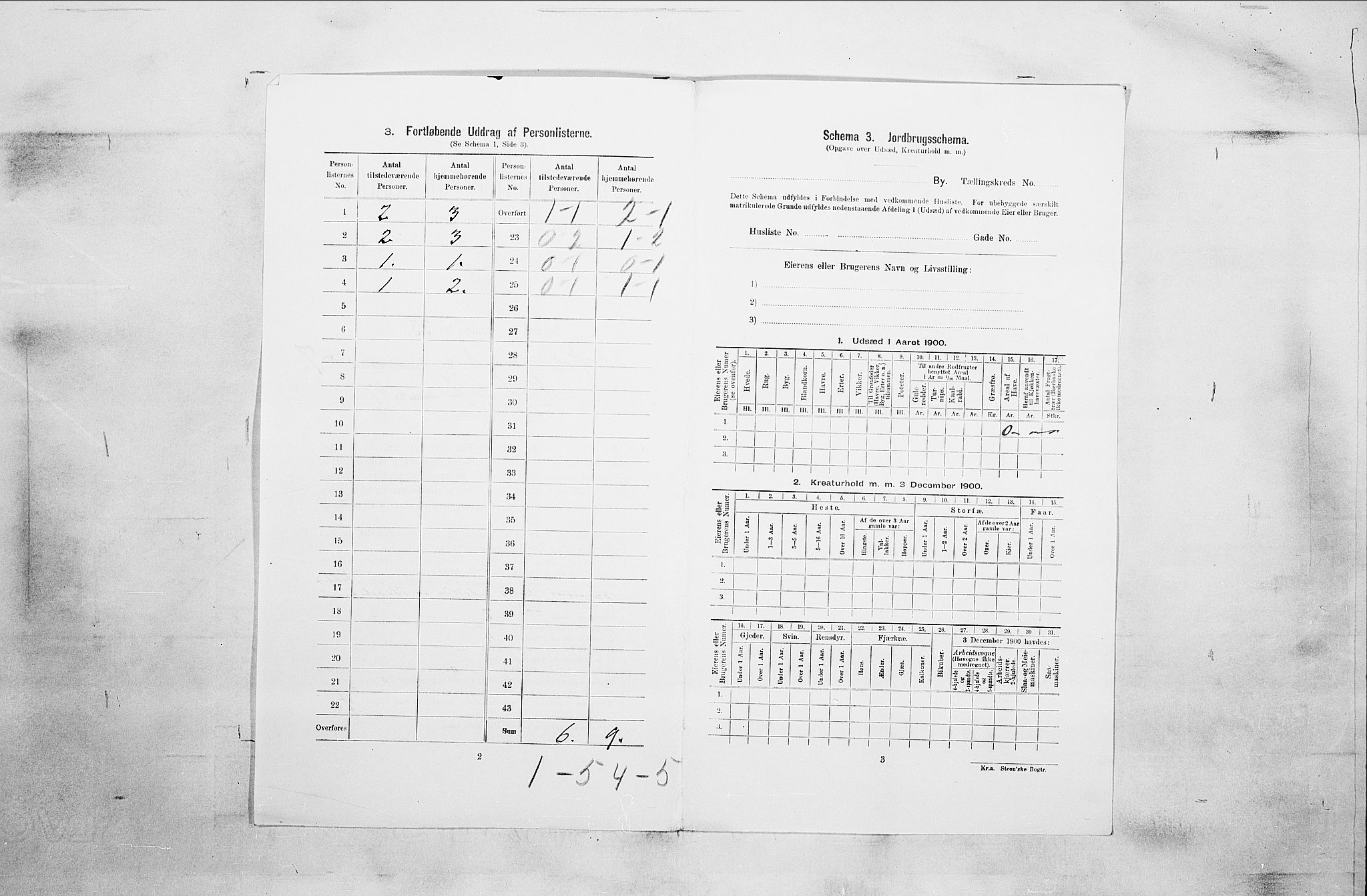 RA, 1900 census for Holmestrand, 1900, p. 191