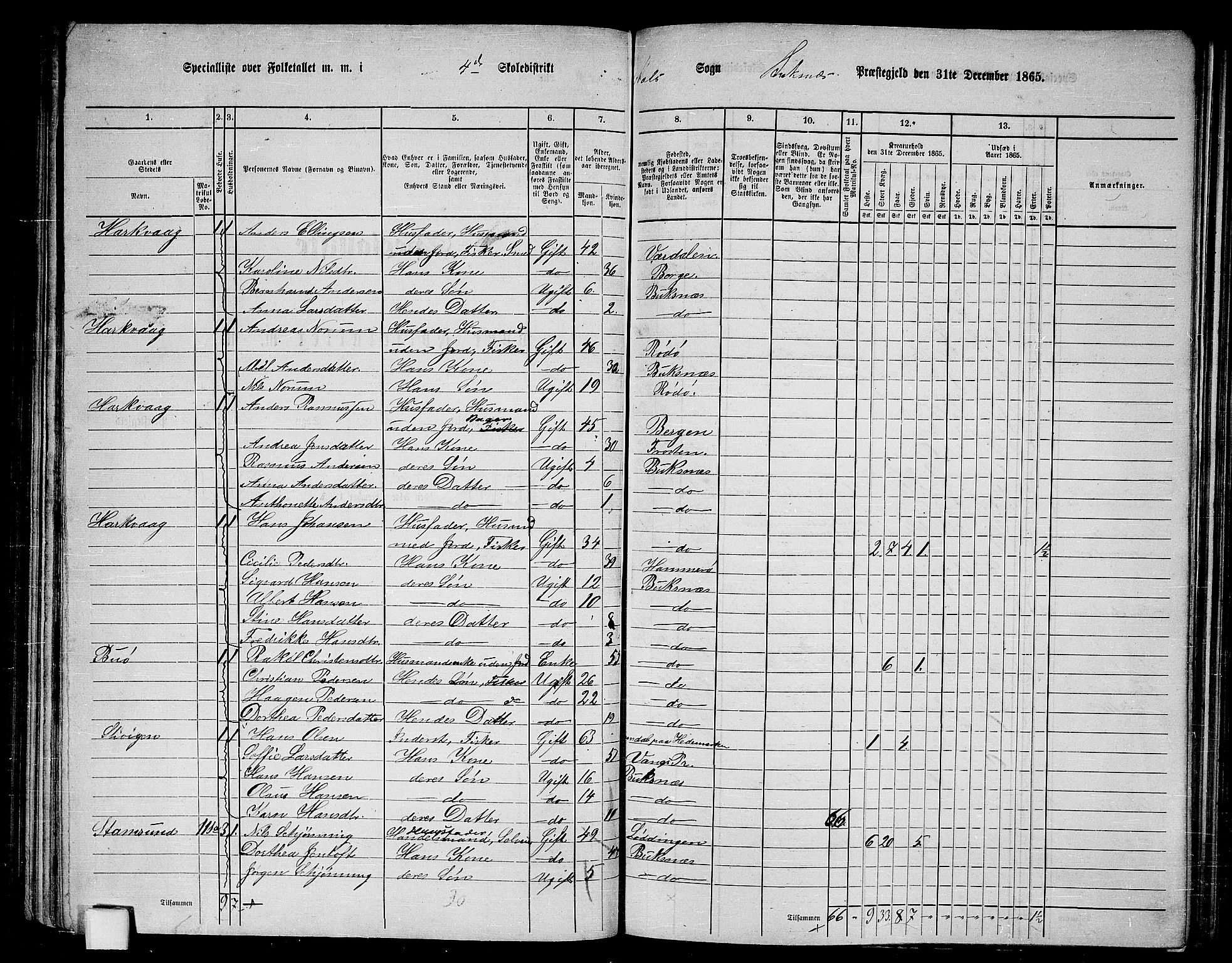 RA, 1865 census for Buksnes, 1865, p. 94