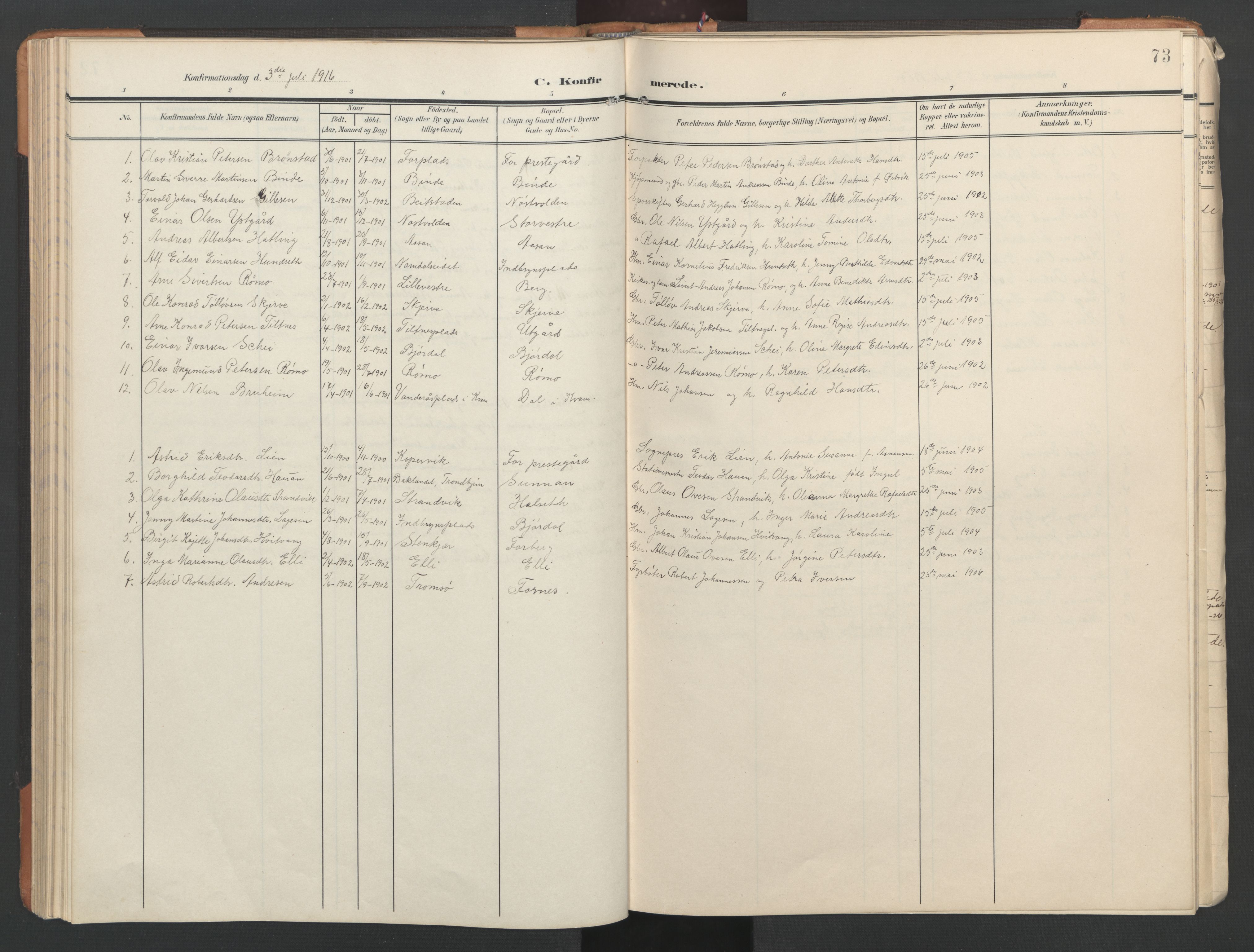 Ministerialprotokoller, klokkerbøker og fødselsregistre - Nord-Trøndelag, SAT/A-1458/746/L0455: Parish register (copy) no. 746C01, 1908-1933, p. 73