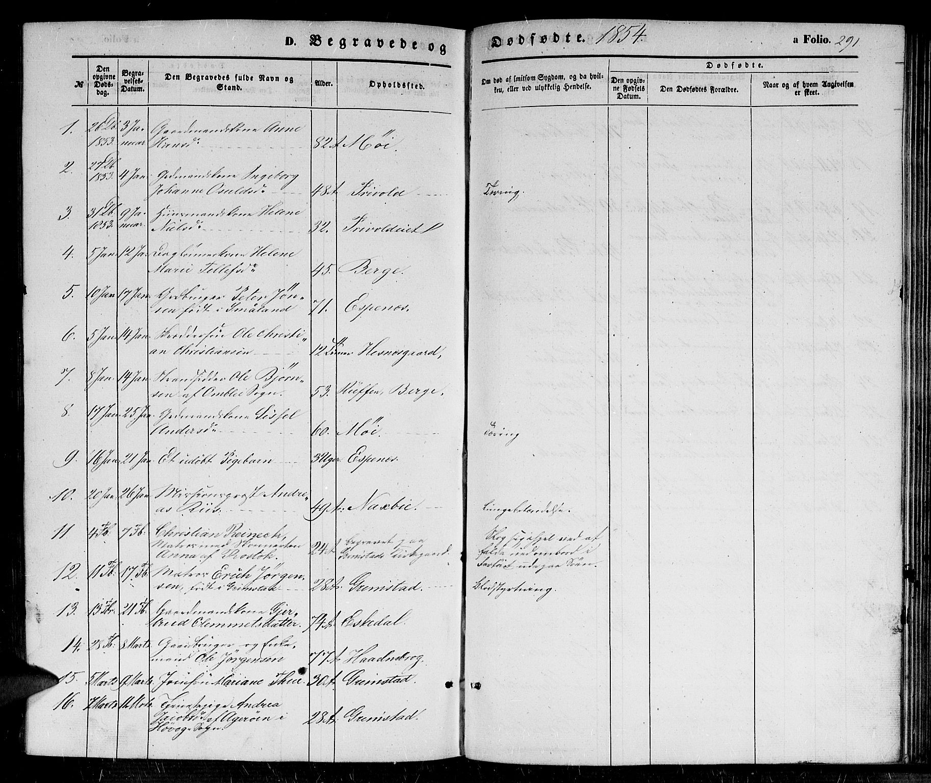 Fjære sokneprestkontor, SAK/1111-0011/F/Fb/L0008: Parish register (copy) no. B 8, 1854-1867, p. 291