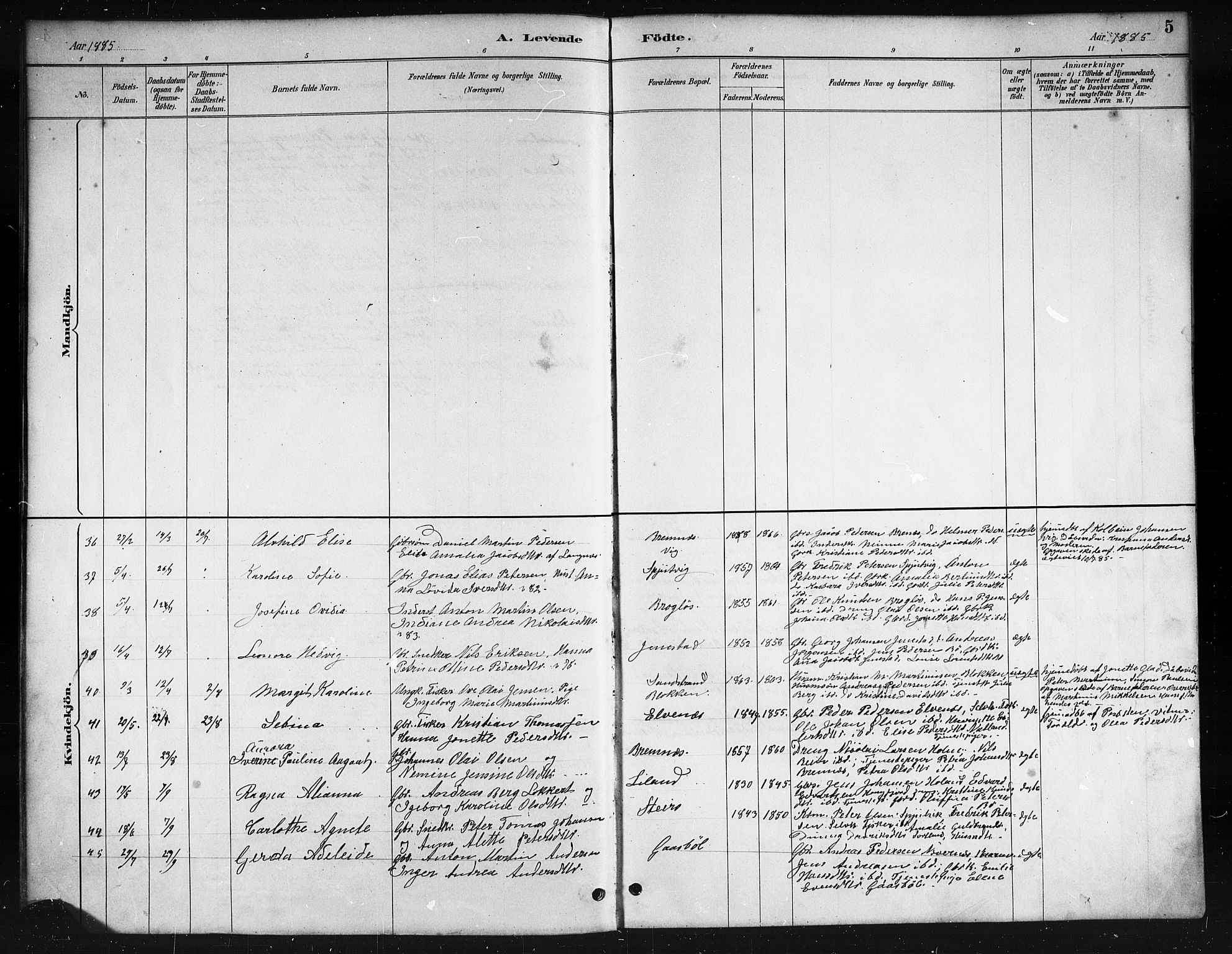 Ministerialprotokoller, klokkerbøker og fødselsregistre - Nordland, AV/SAT-A-1459/895/L1382: Parish register (copy) no. 895C04, 1885-1896, p. 5