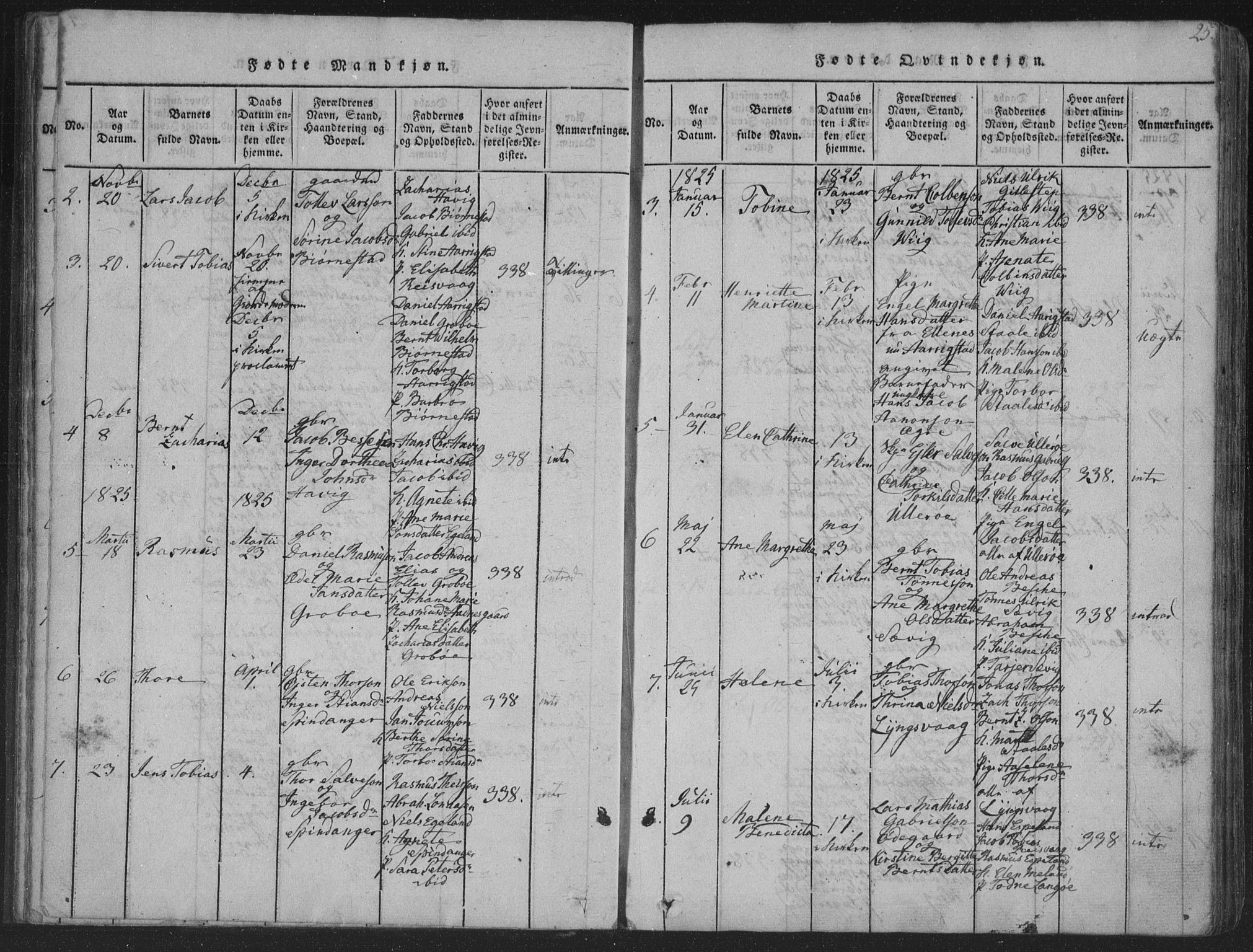 Herad sokneprestkontor, AV/SAK-1111-0018/F/Fa/Fab/L0002: Parish register (official) no. A 2, 1816-1844, p. 25