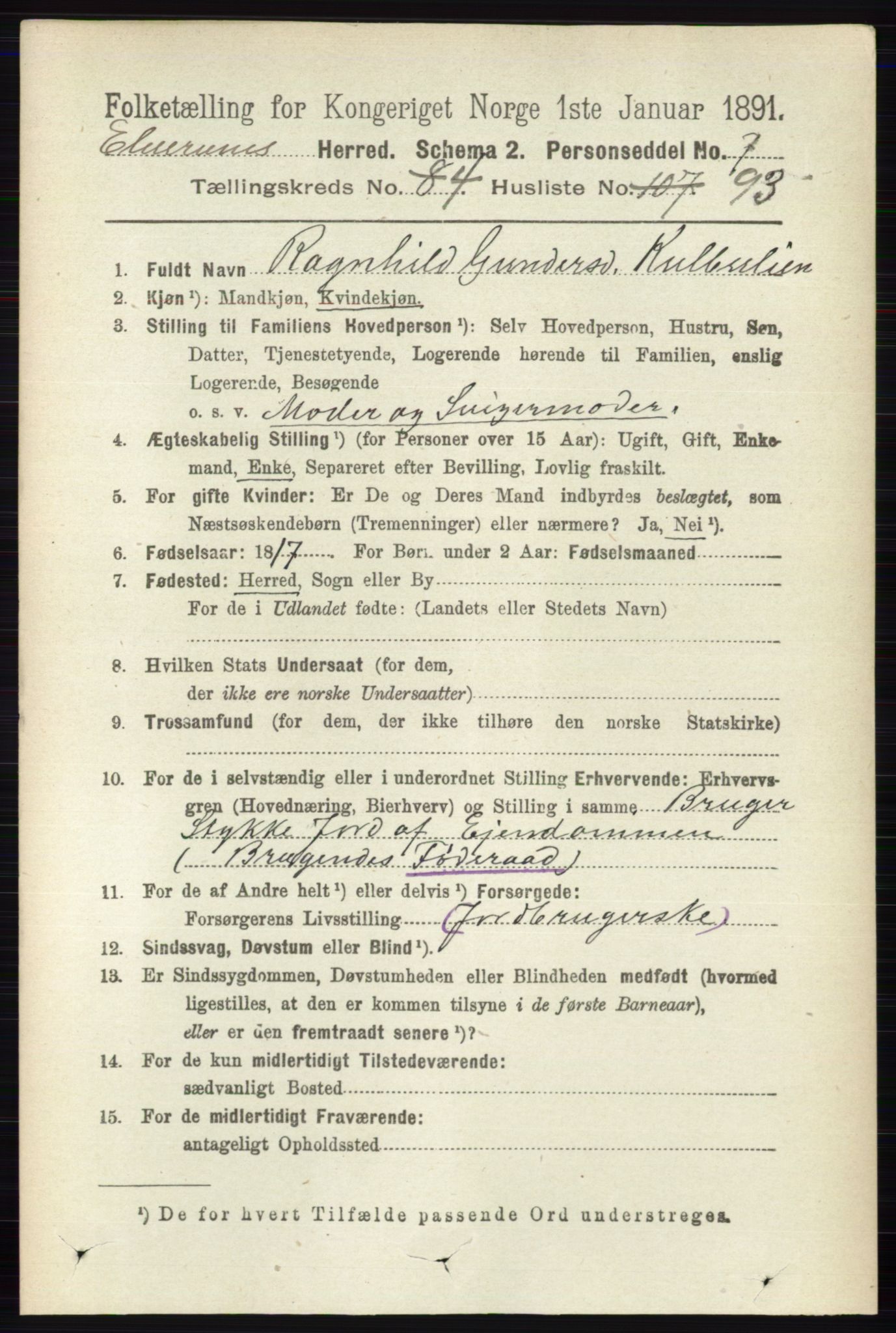 RA, 1891 census for 0427 Elverum, 1891, p. 2913