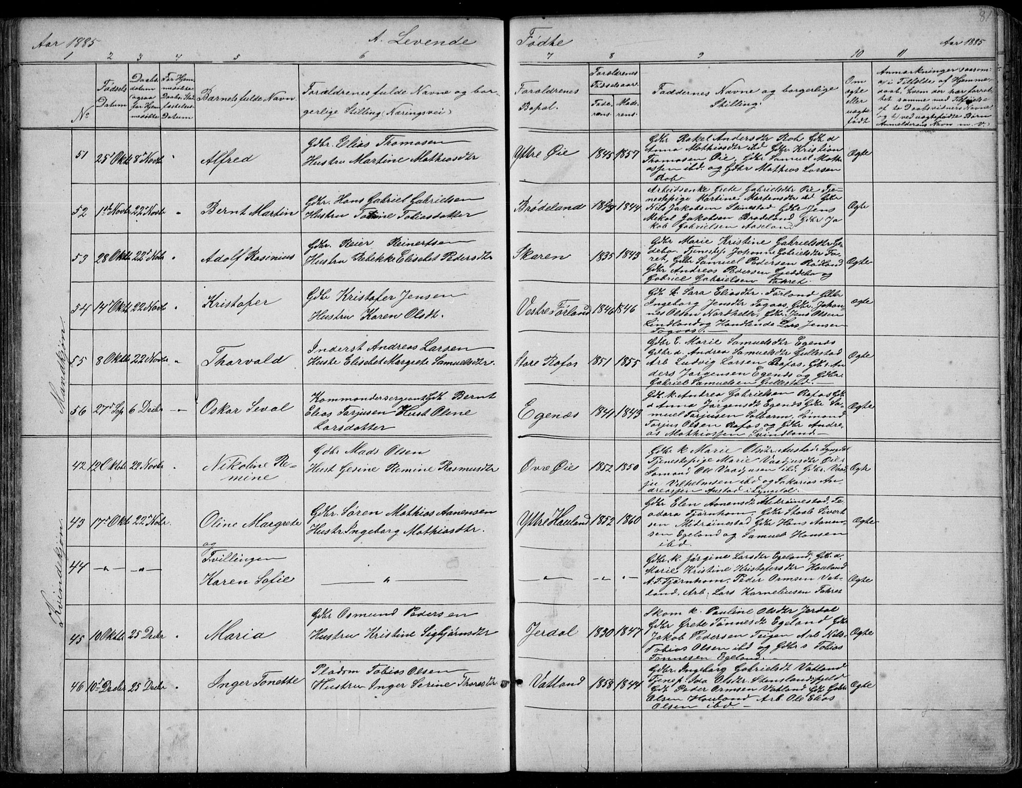 Kvinesdal sokneprestkontor, AV/SAK-1111-0026/F/Fb/Fbb/L0002: Parish register (copy) no. B 2, 1873-1897, p. 81