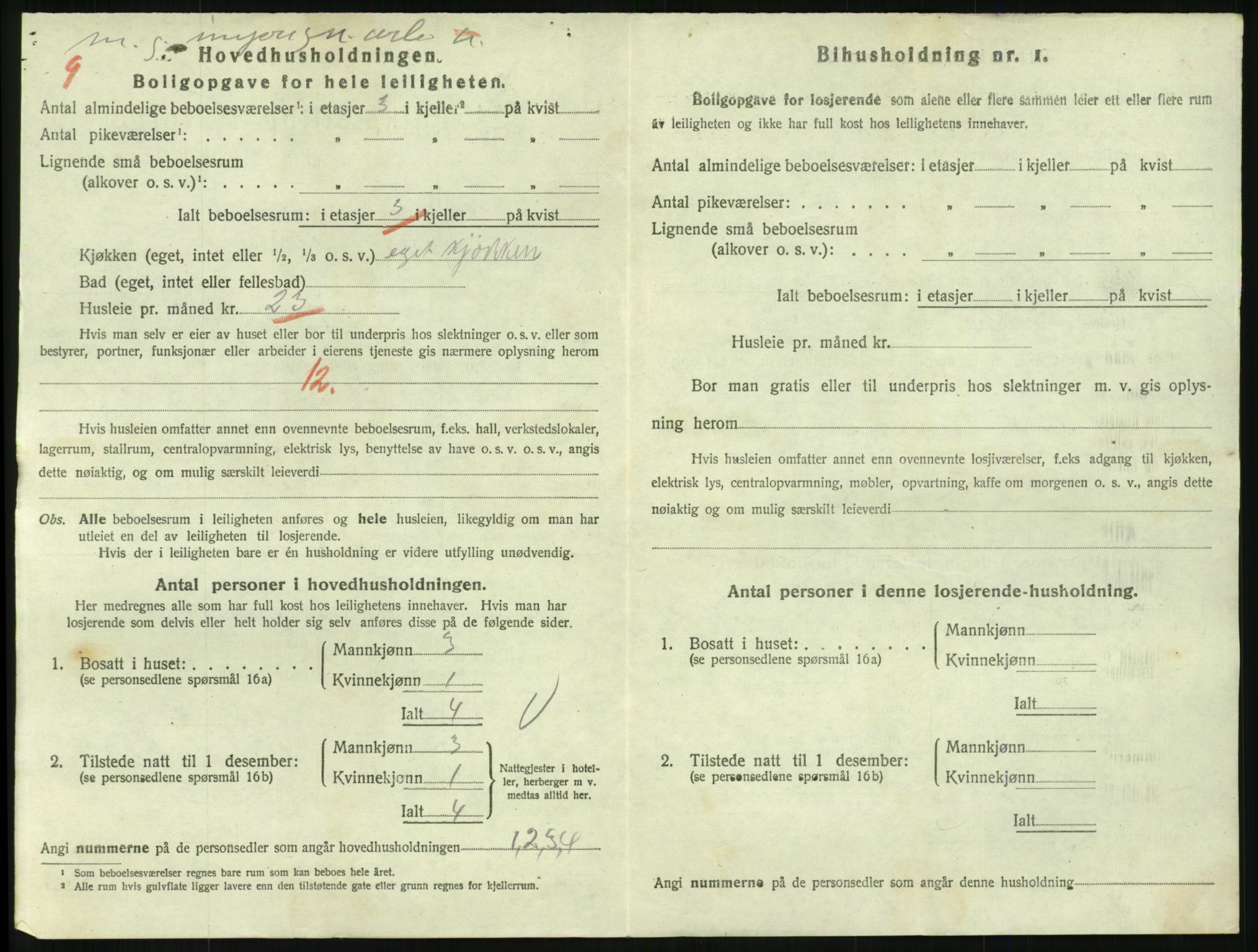 SAKO, 1920 census for Larvik, 1920, p. 6567