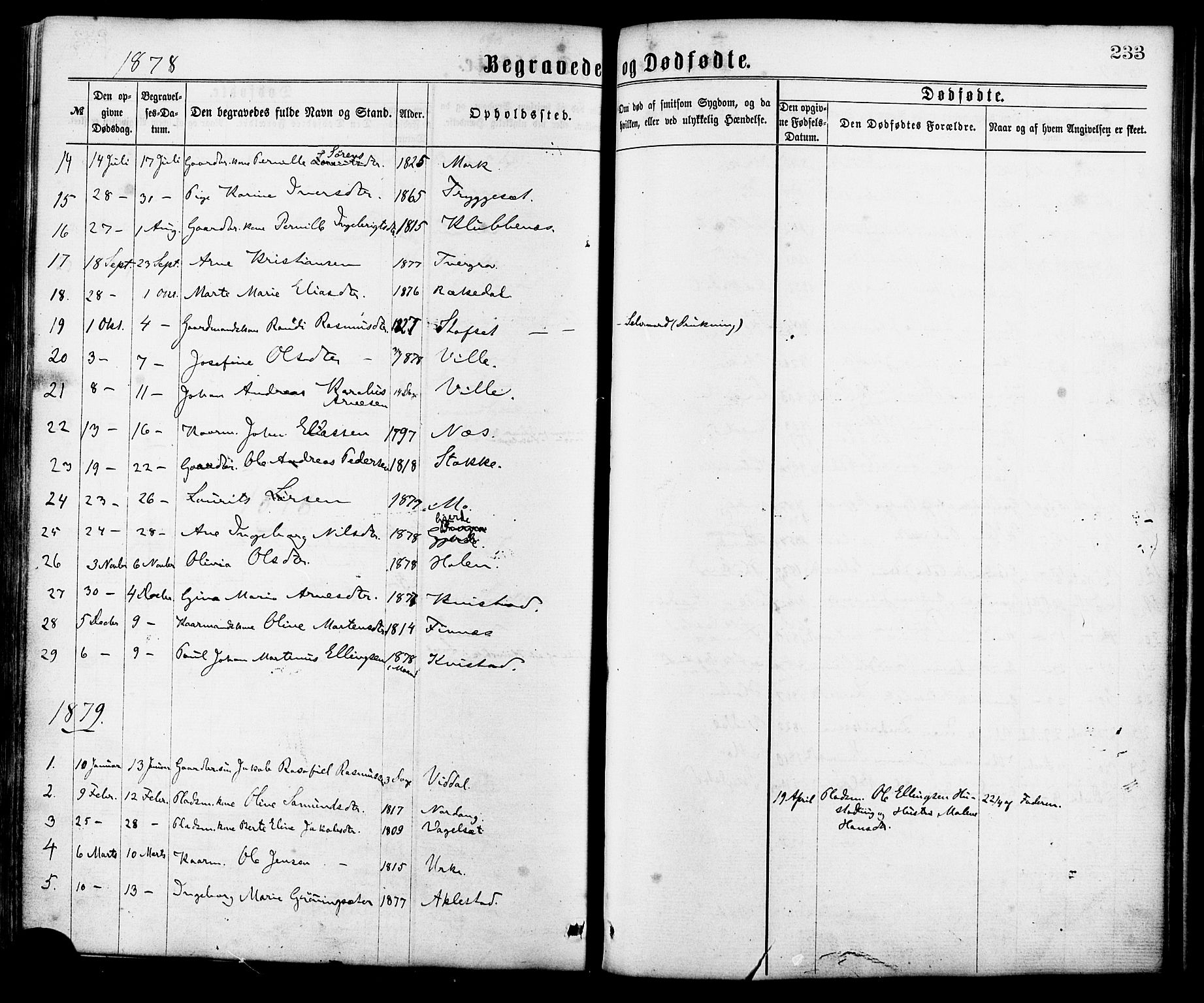 Ministerialprotokoller, klokkerbøker og fødselsregistre - Møre og Romsdal, AV/SAT-A-1454/515/L0210: Parish register (official) no. 515A06, 1868-1885, p. 233