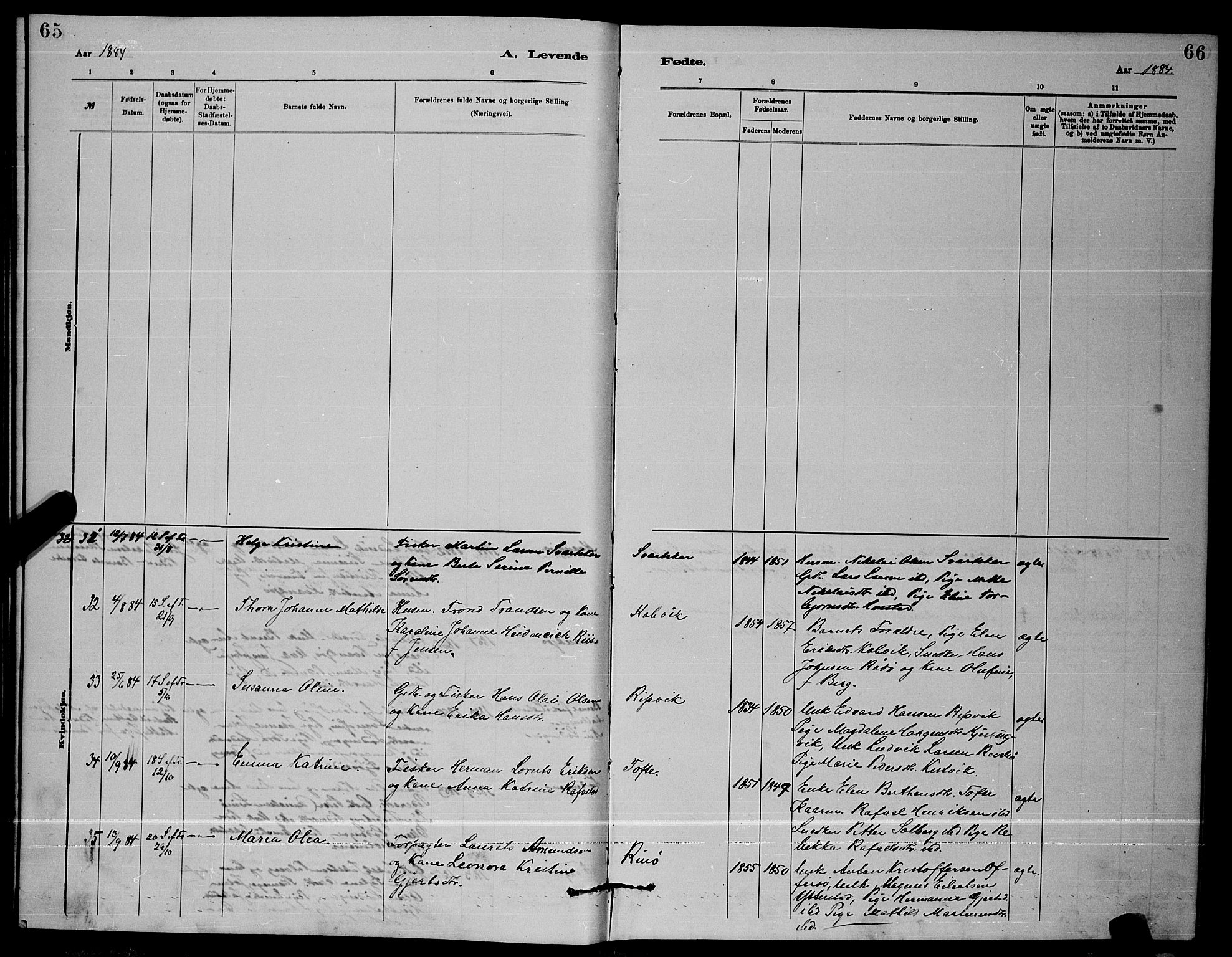 Ministerialprotokoller, klokkerbøker og fødselsregistre - Nordland, AV/SAT-A-1459/872/L1047: Parish register (copy) no. 872C03, 1880-1897, p. 65-66