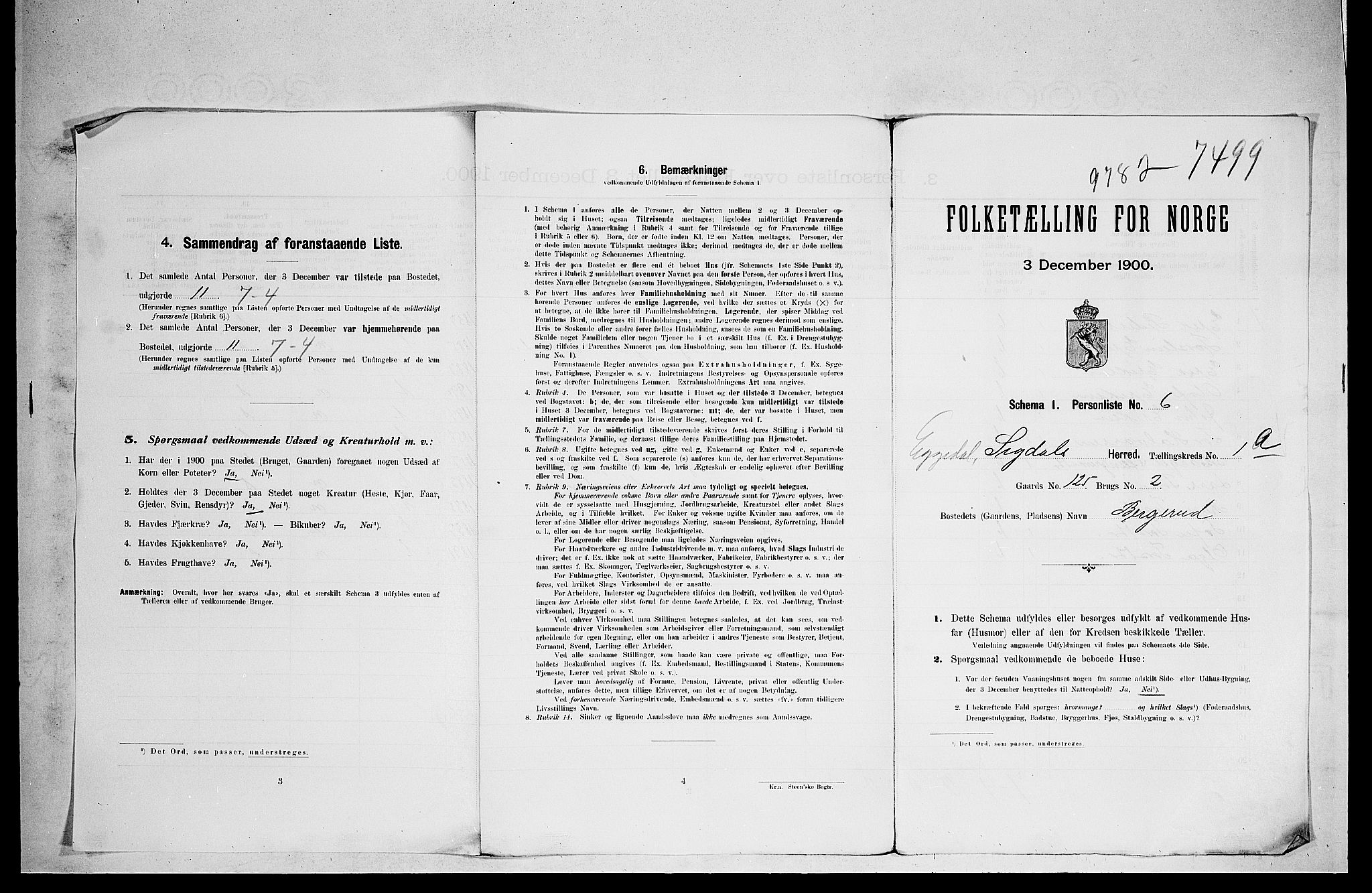 RA, 1900 census for Sigdal, 1900, p. 1810