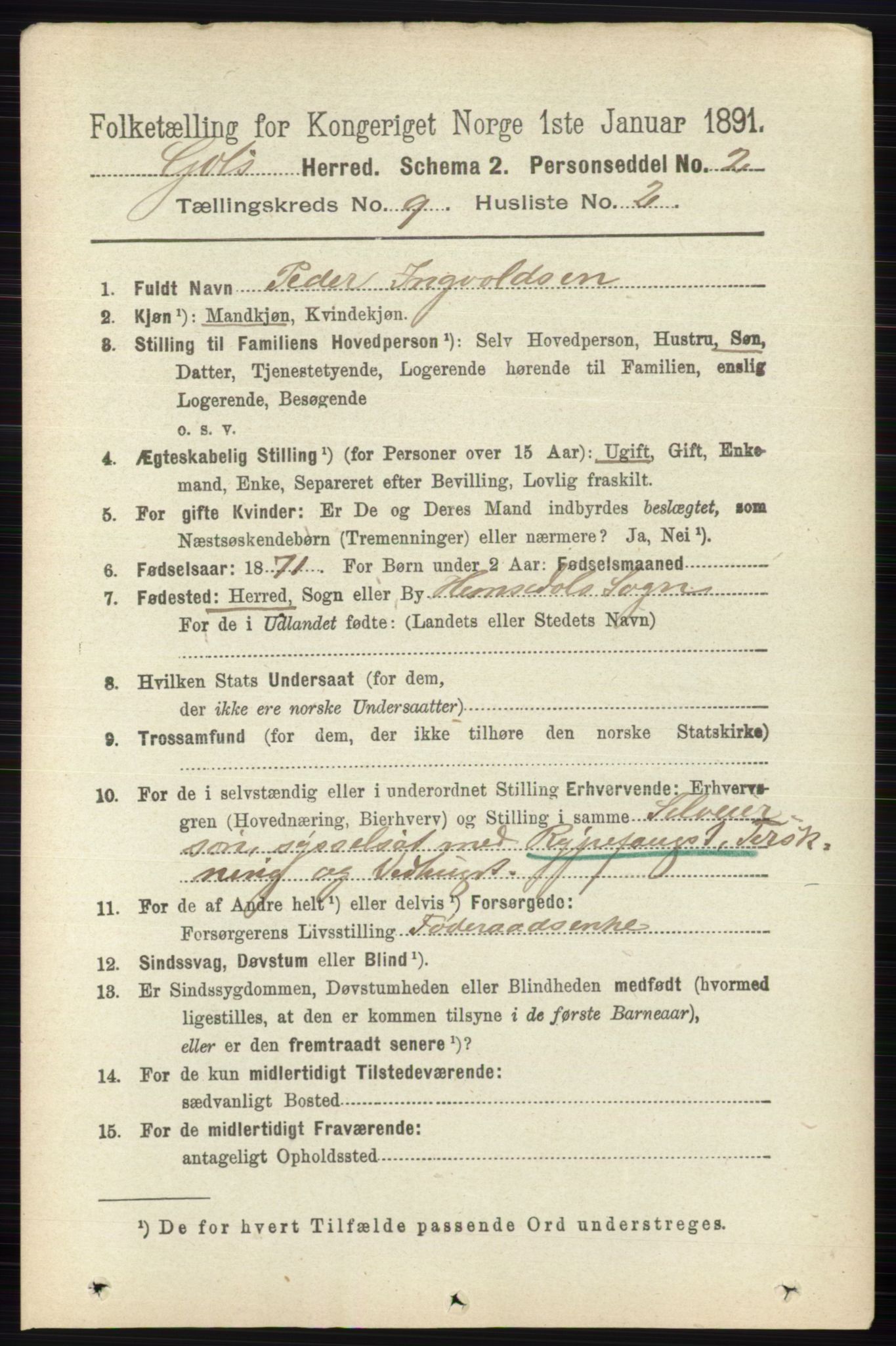 RA, 1891 census for 0617 Gol og Hemsedal, 1891, p. 3405