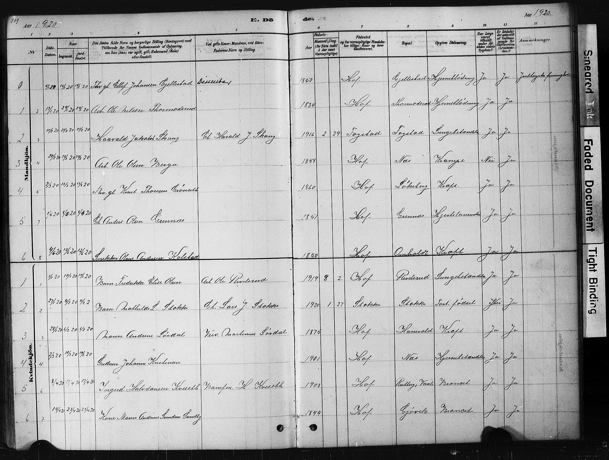 Hof kirkebøker, AV/SAKO-A-64/G/Ga/L0004: Parish register (copy) no. I 4, 1878-1930, p. 309