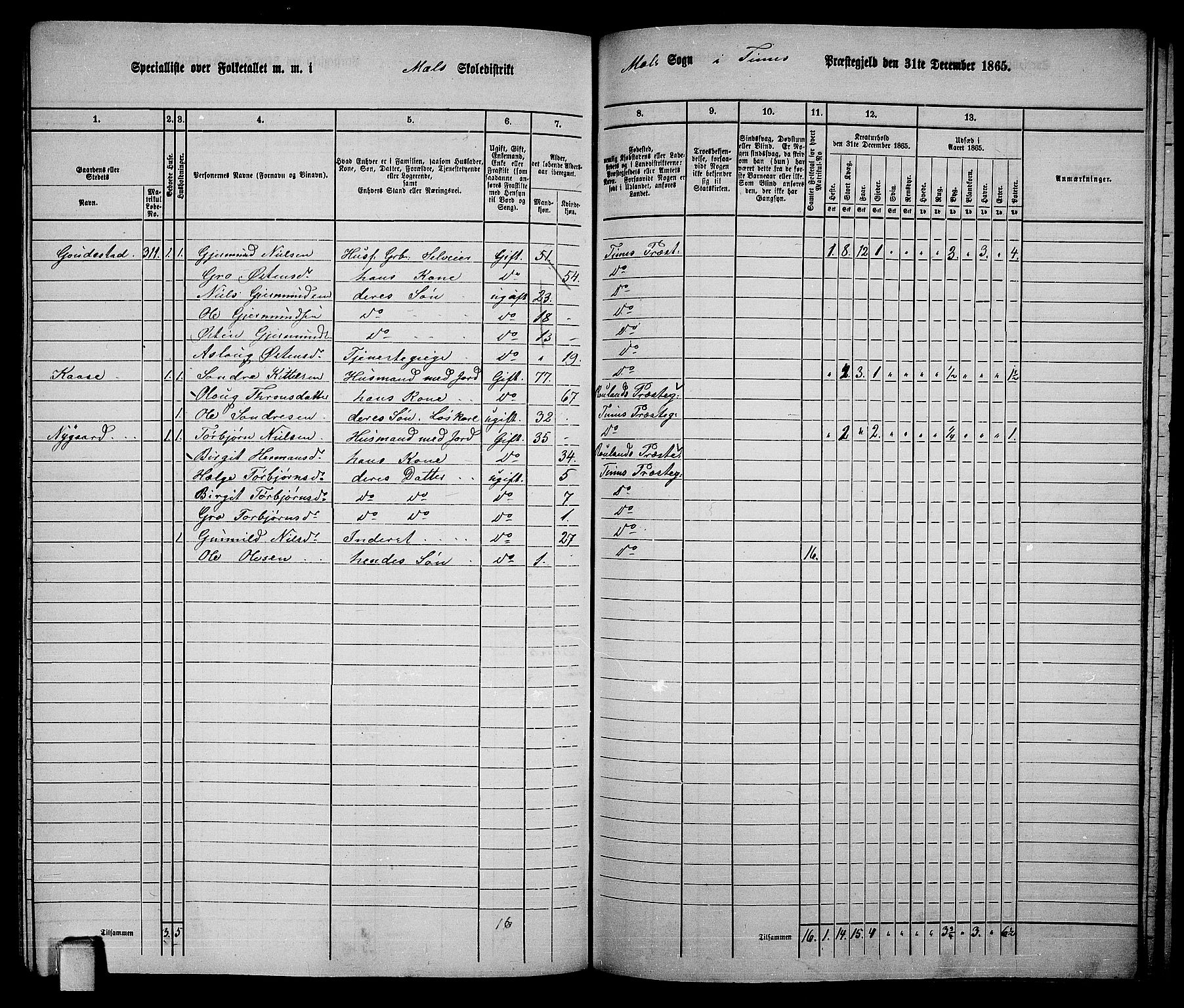 RA, 1865 census for Tinn, 1865, p. 99