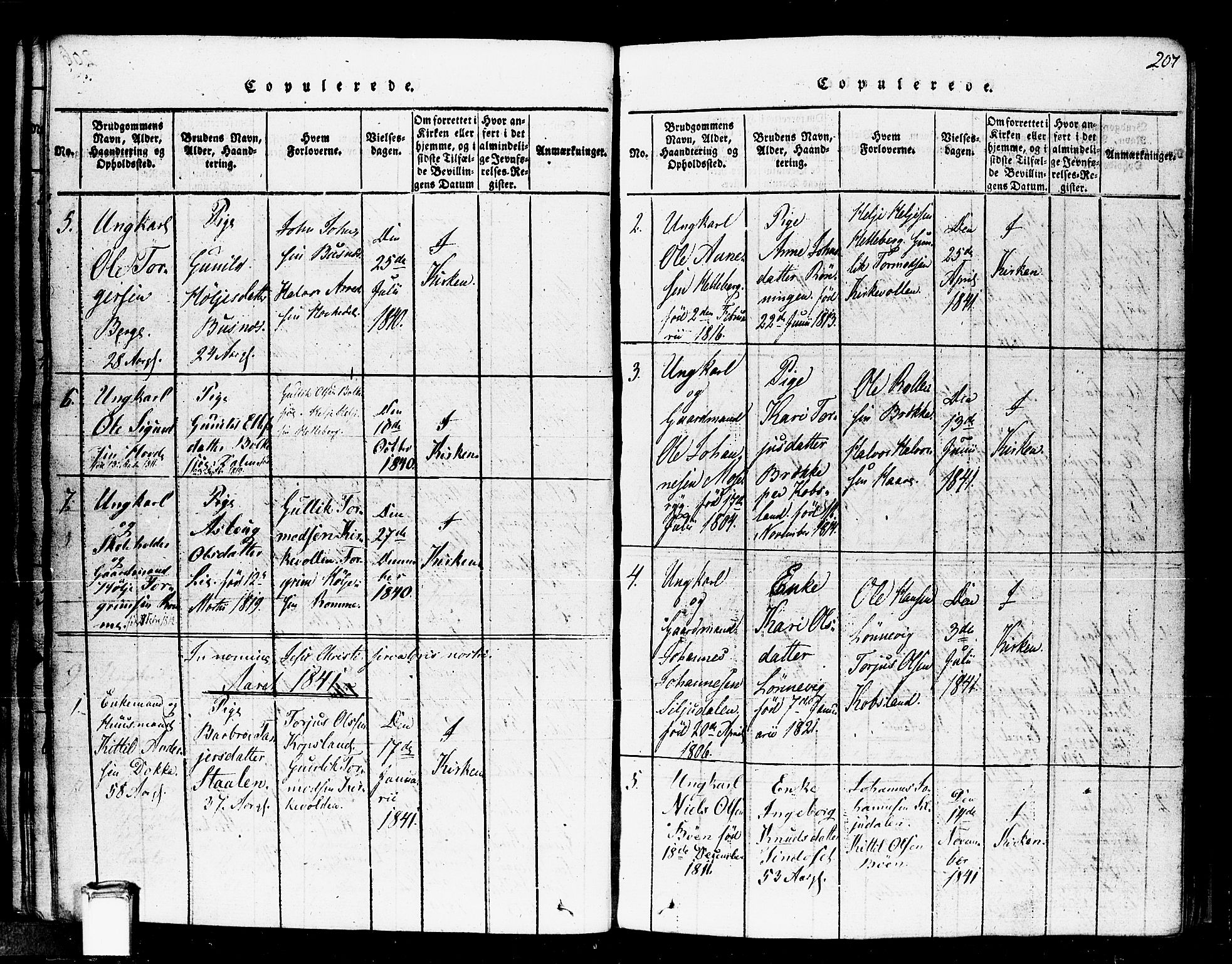 Gransherad kirkebøker, SAKO/A-267/F/Fa/L0001: Parish register (official) no. I 1, 1815-1843, p. 207