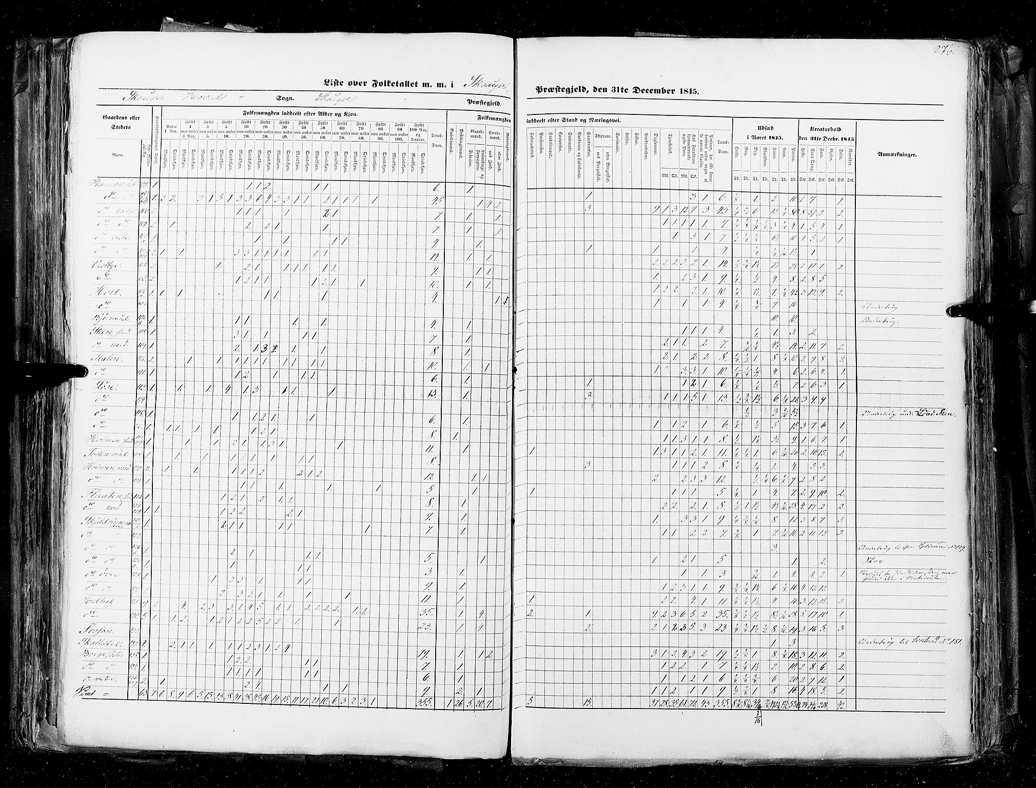 RA, Census 1845, vol. 4: Buskerud amt og Jarlsberg og Larvik amt, 1845, p. 276