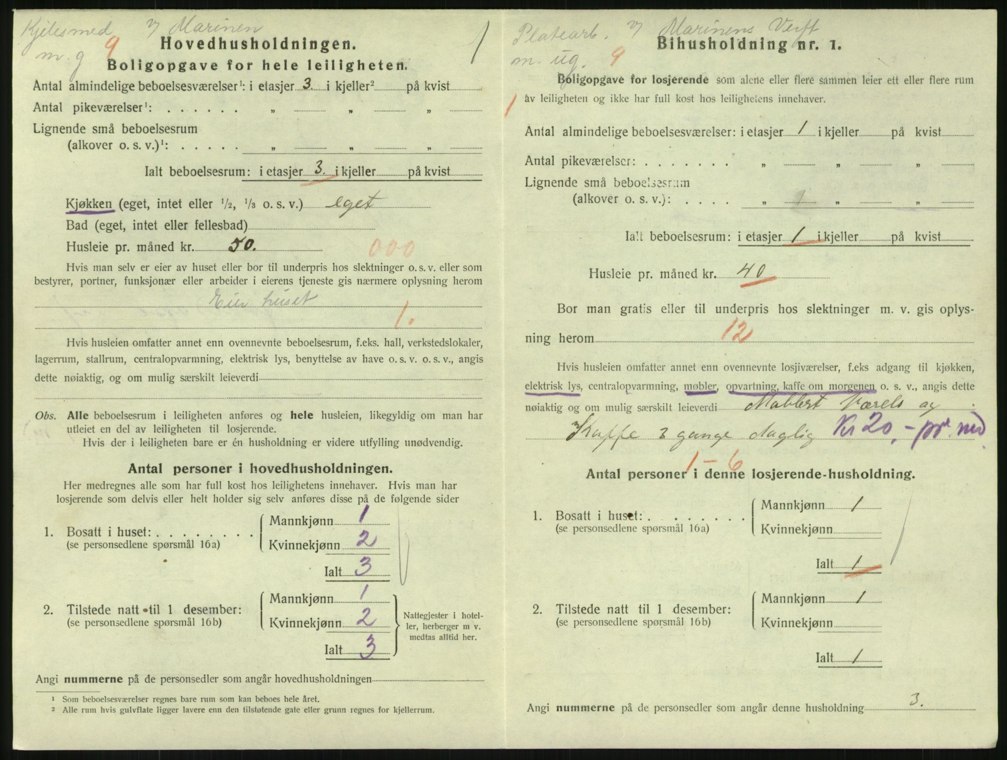 SAKO, 1920 census for Horten, 1920, p. 4624