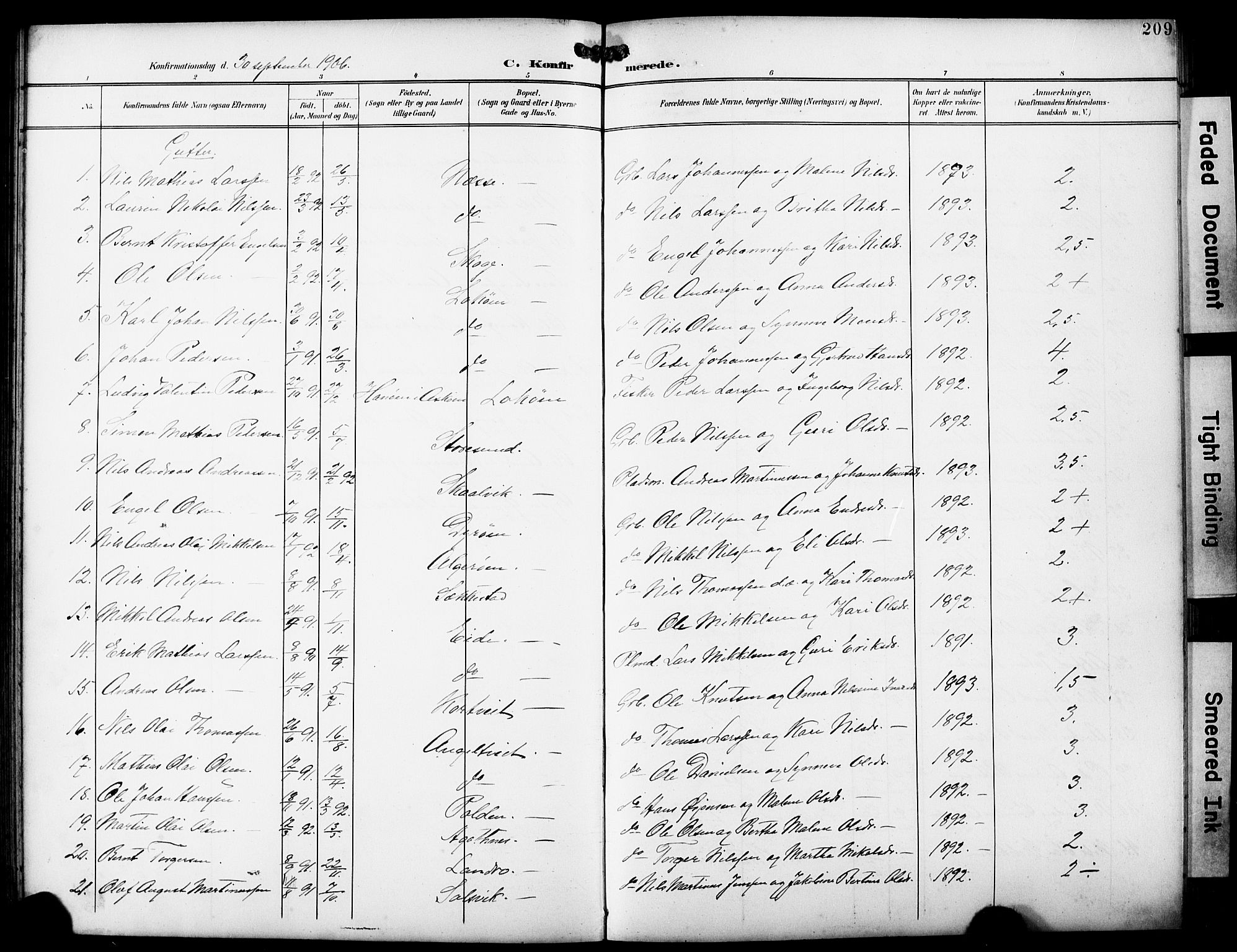 Fjell sokneprestembete, SAB/A-75301/H/Hab: Parish register (copy) no. A 5, 1899-1918, p. 209