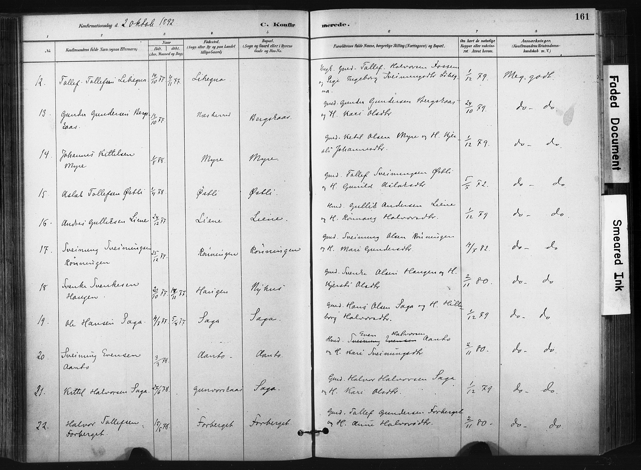 Bø kirkebøker, SAKO/A-257/F/Fa/L0010: Parish register (official) no. 10, 1880-1892, p. 161