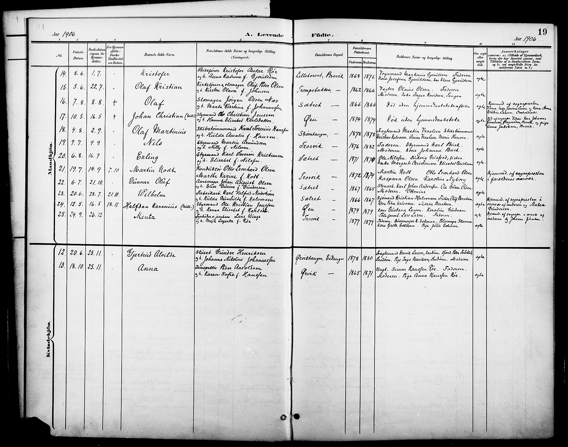 Brevik kirkebøker, AV/SAKO-A-255/G/Ga/L0005: Parish register (copy) no. 5, 1901-1924, p. 19