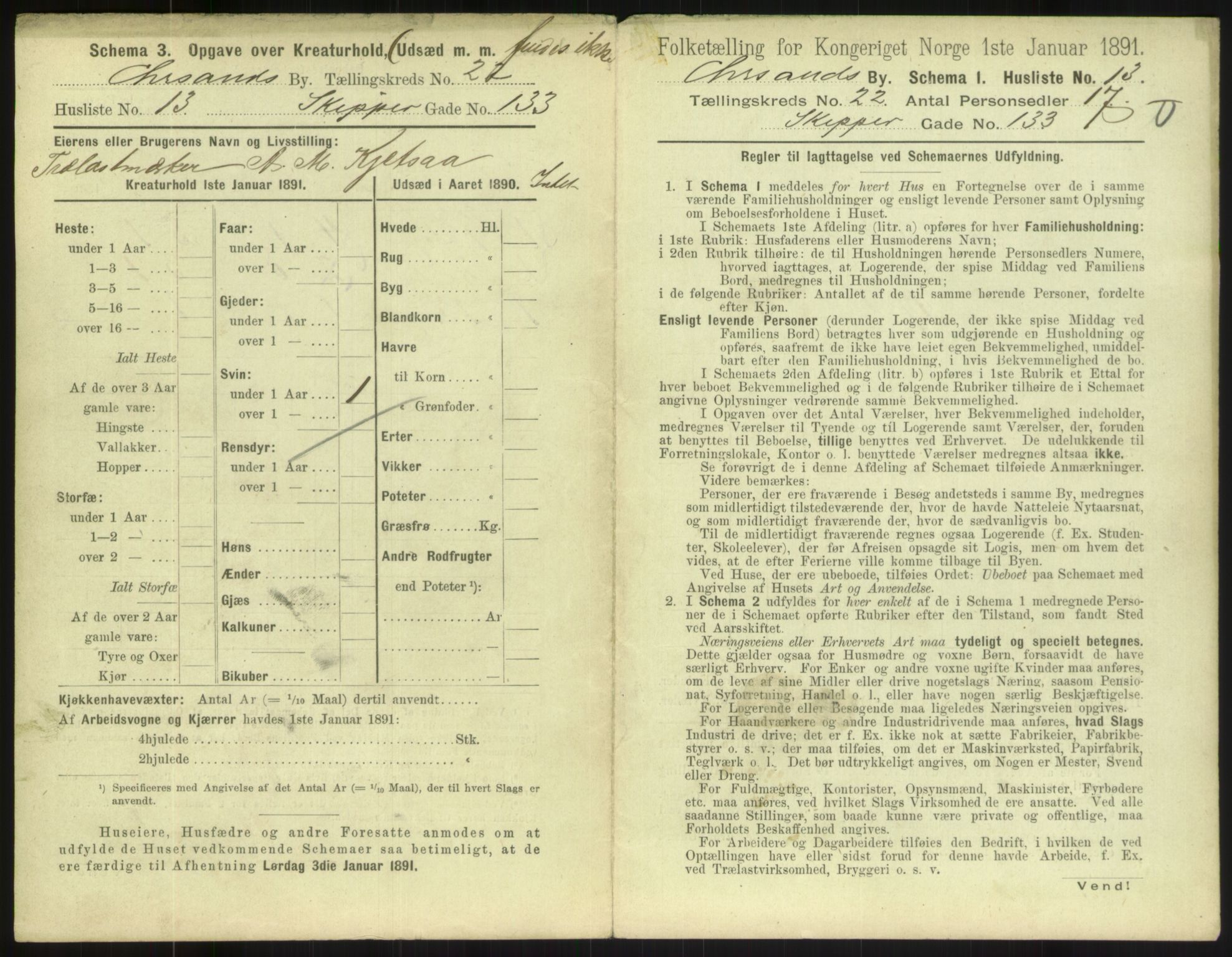 RA, 1891 census for 1001 Kristiansand, 1891, p. 1320