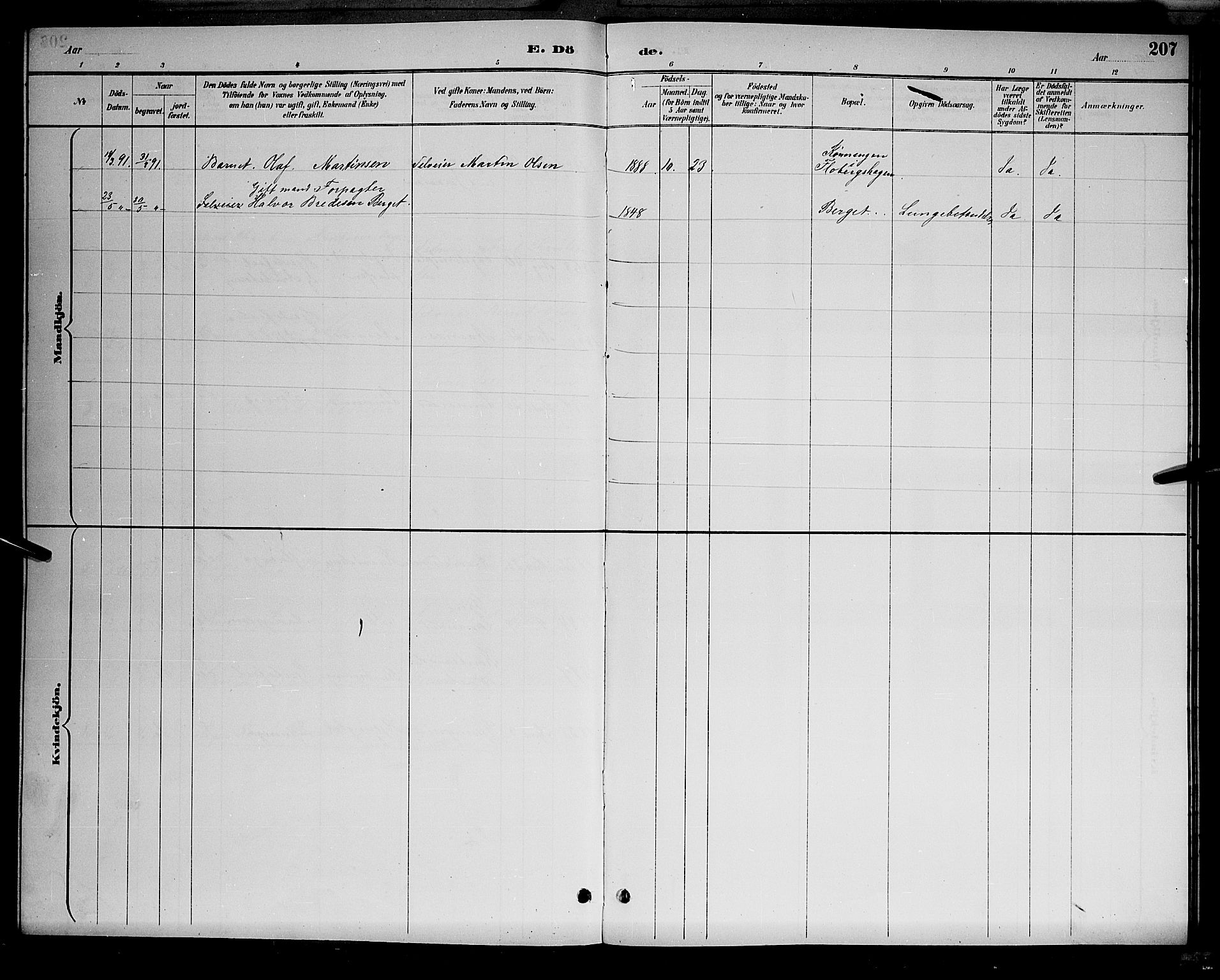 Åsnes prestekontor, AV/SAH-PREST-042/H/Ha/Hab/L0001: Parish register (copy) no. 1, 1890-1891, p. 207