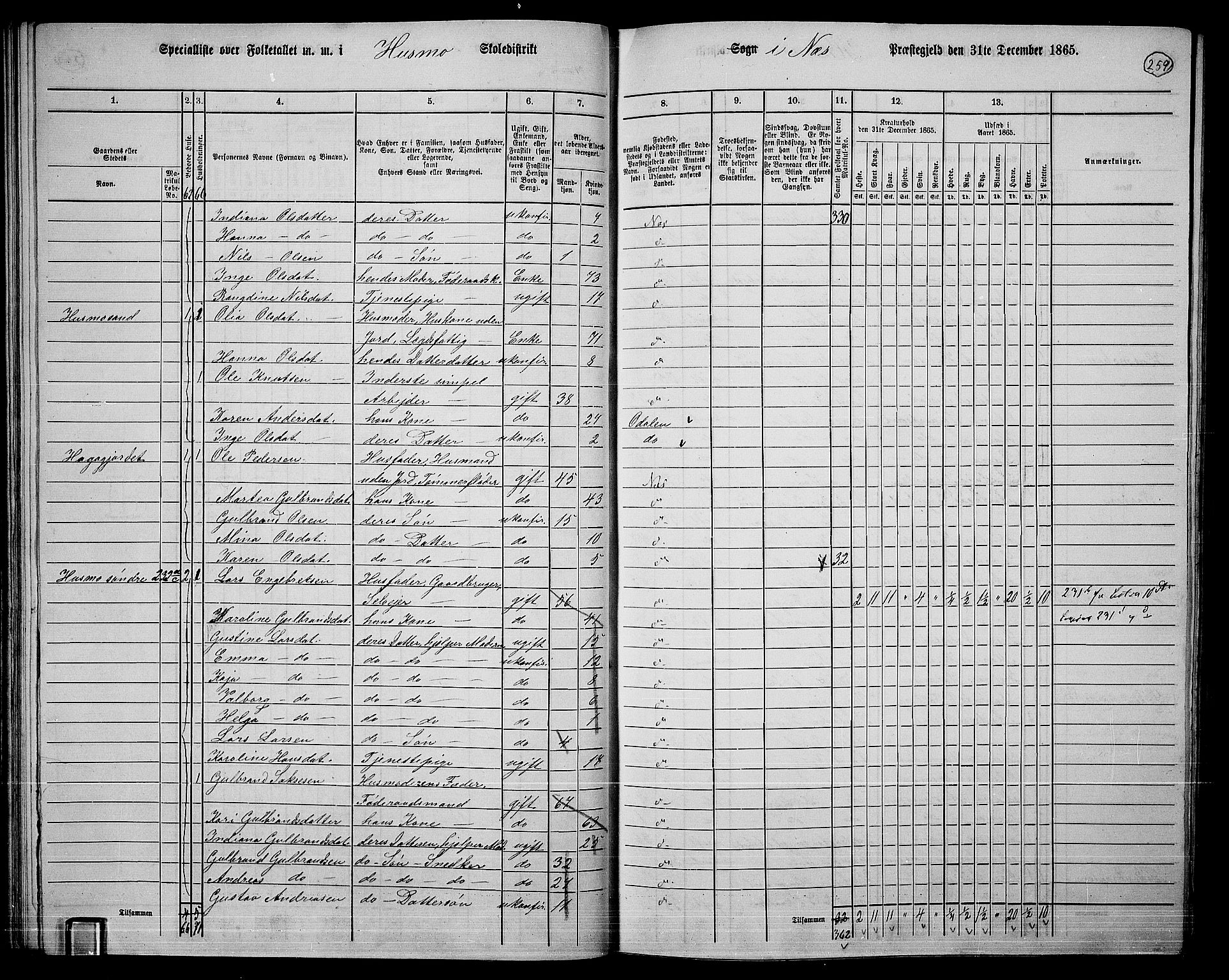 RA, 1865 census for Nes, 1865, p. 242