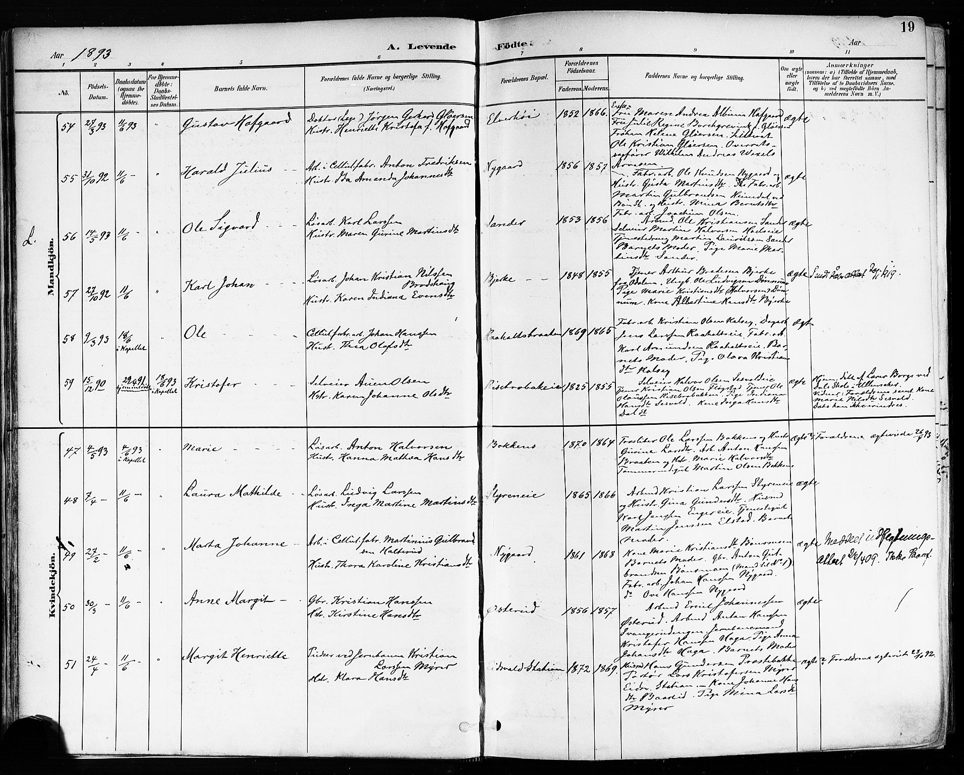 Eidsvoll prestekontor Kirkebøker, SAO/A-10888/F/Fa/L0004: Parish register (official) no. I 4, 1891-1900, p. 19