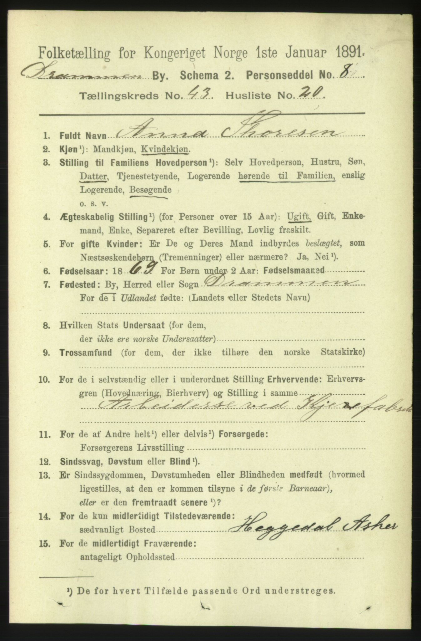 RA, 1891 census for 0602 Drammen, 1891, p. 25385